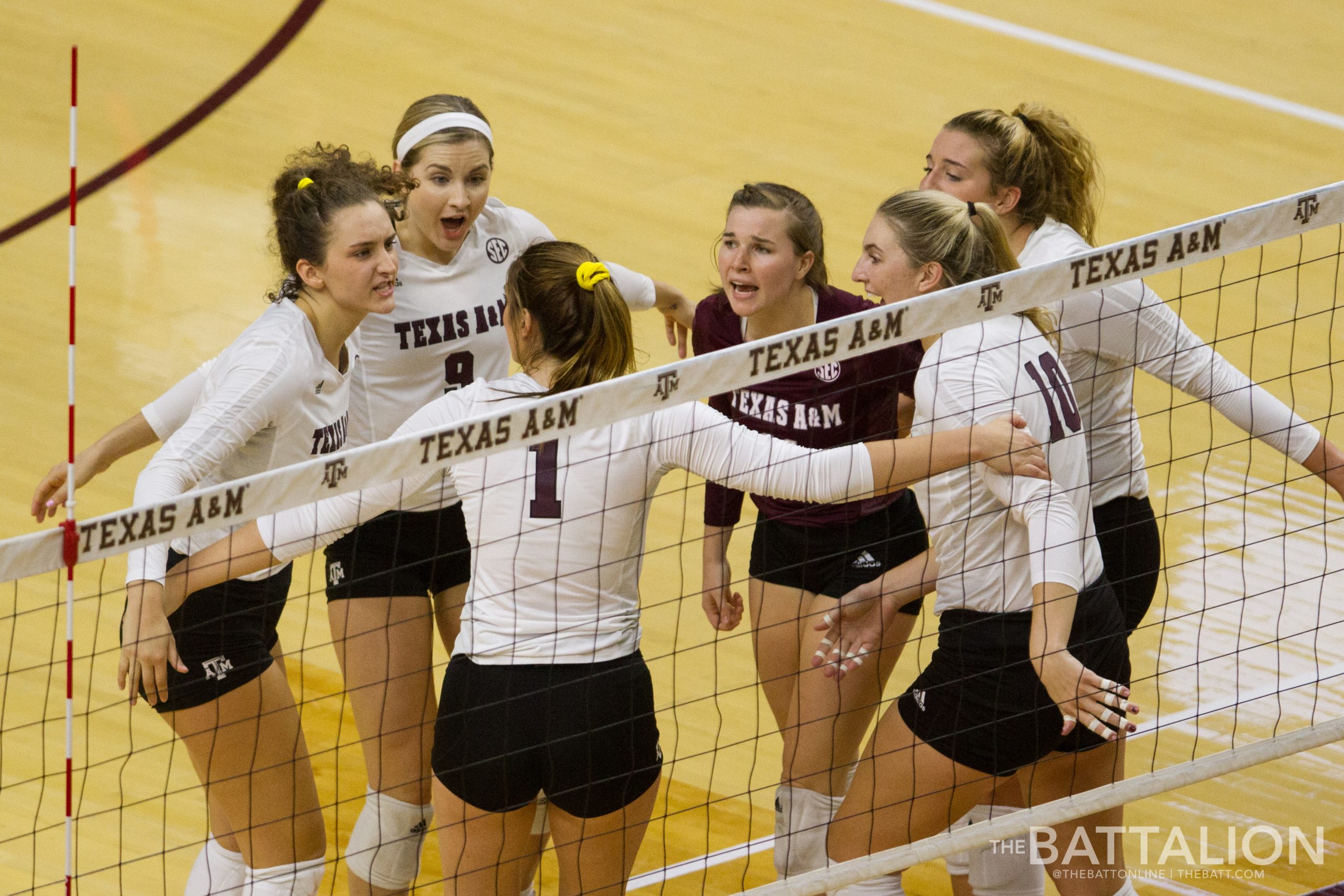 Volleyball vs. Arkansas