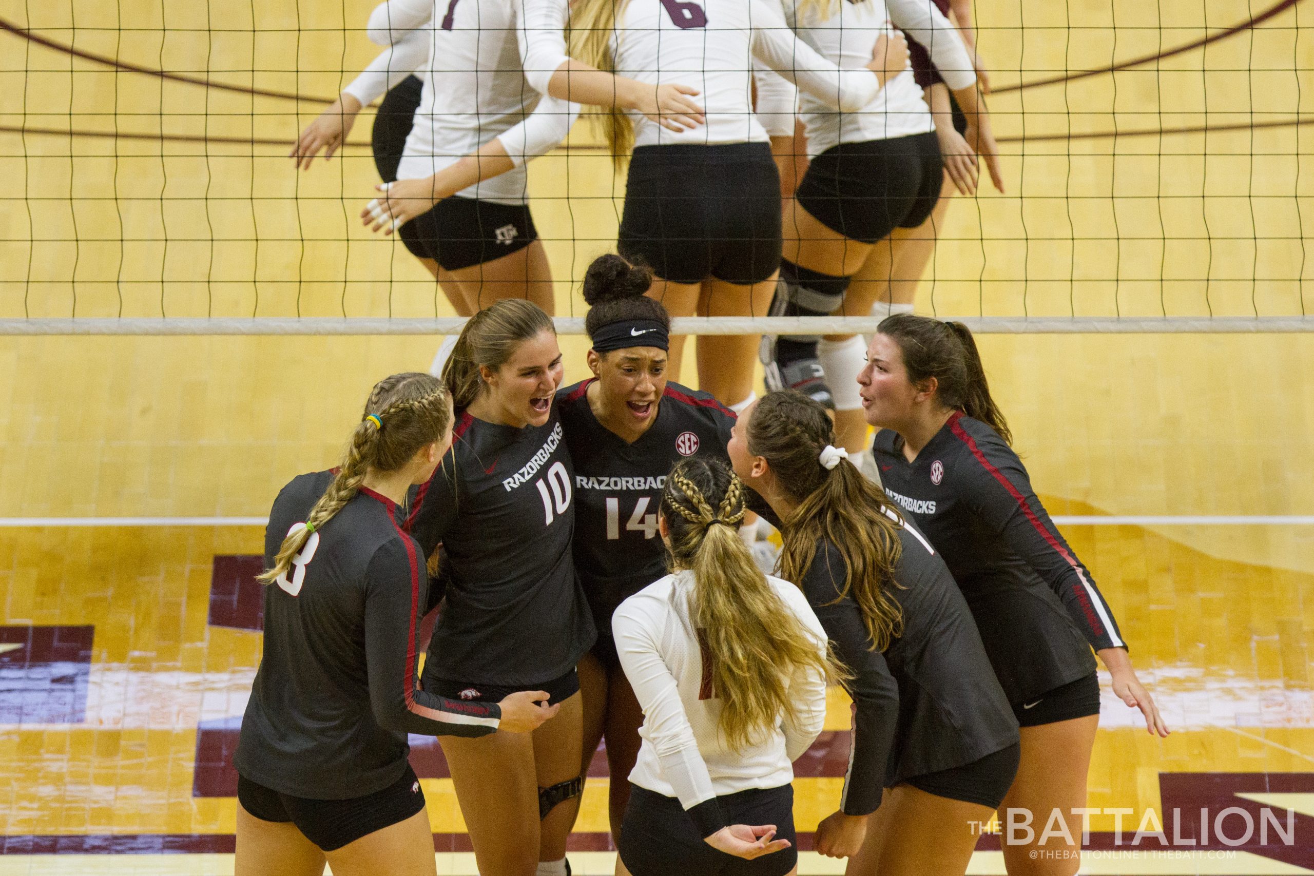 Volleyball vs. Arkansas