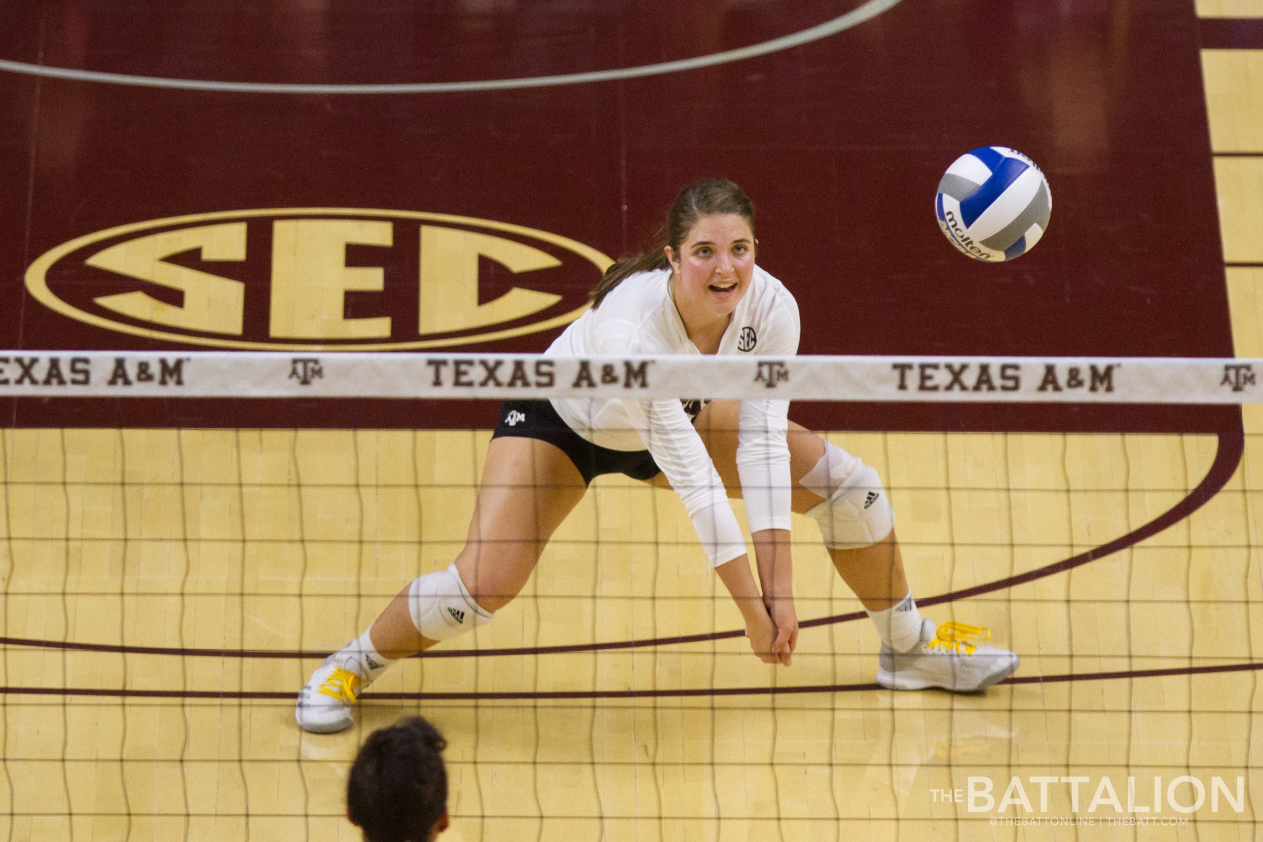 Volleyball vs. Arkansas