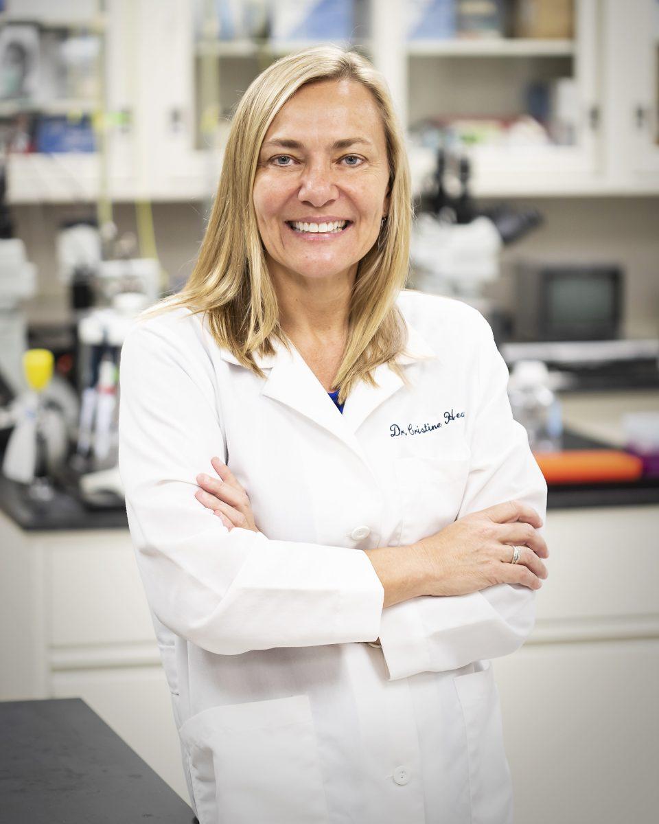 Veterinary+medicine+and+biomedical+sciences+professor+Cristine+Heaps+is+using+her+grant+to+research+heart+health.