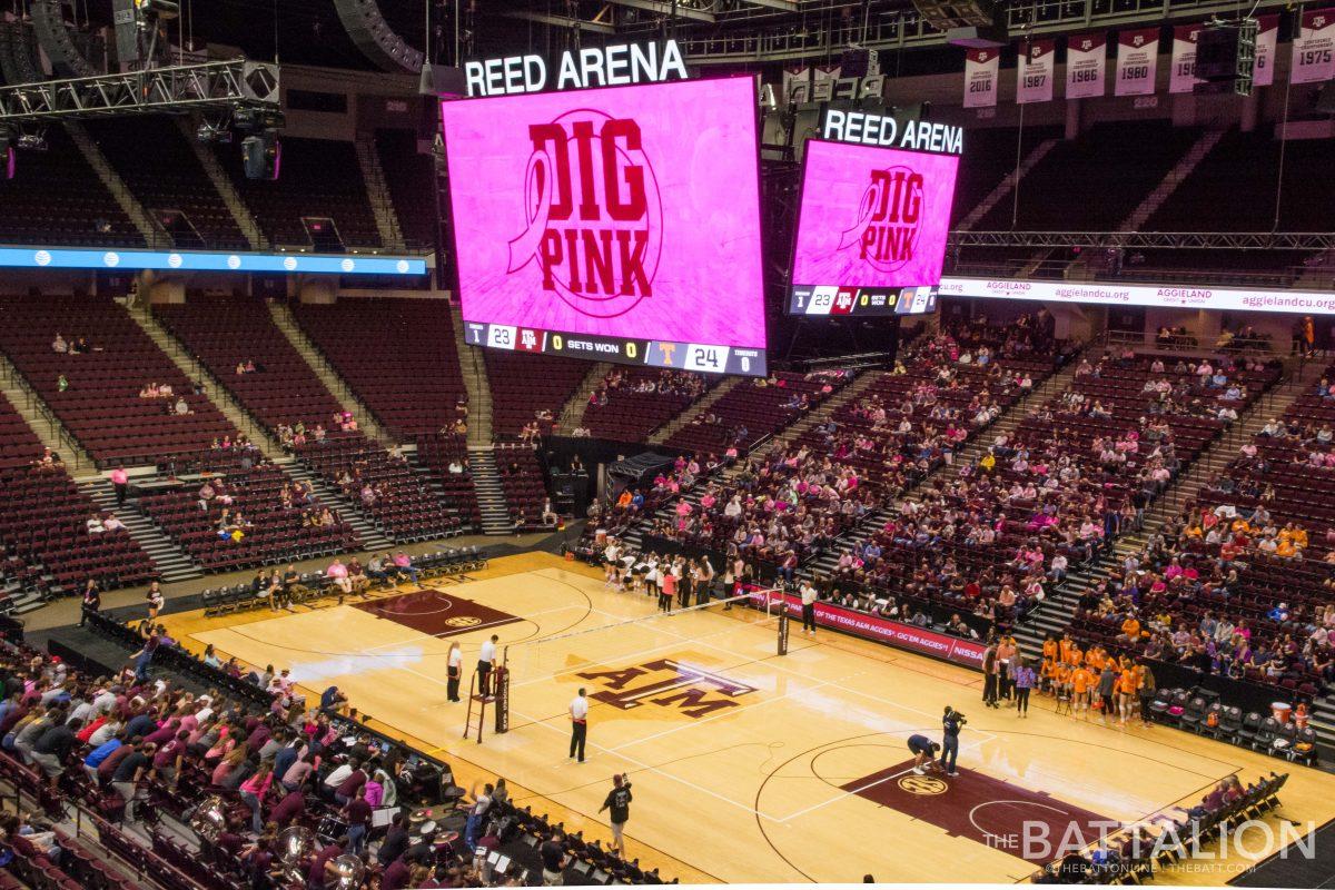 Texas+A%26amp%3BM+hosted+the+Dig+Pink+game+where+fans%2C+players+and+coaches+wore+pink+to+raise+breast+cancer+awareness.