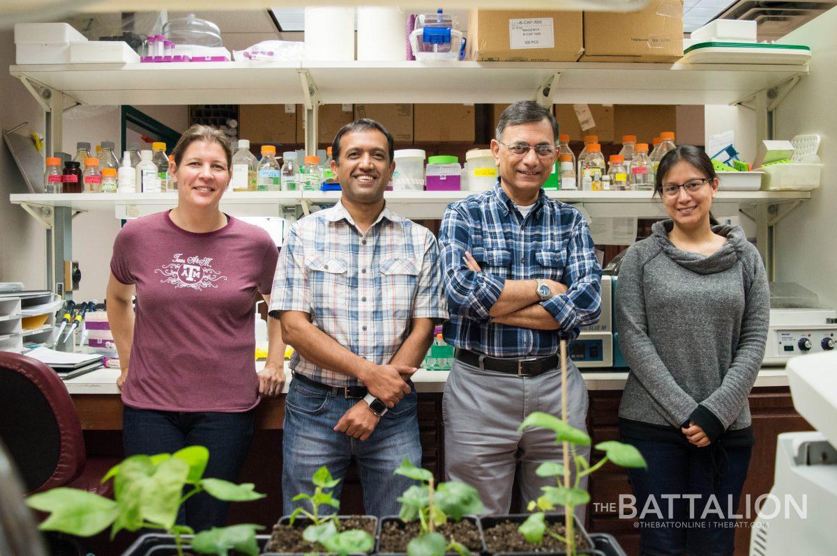 Leanne Campbell, Devendra Pandeya, Keerti Rathore and Stephany Toinga are researching edible cottonseed and recently received USDA approved.