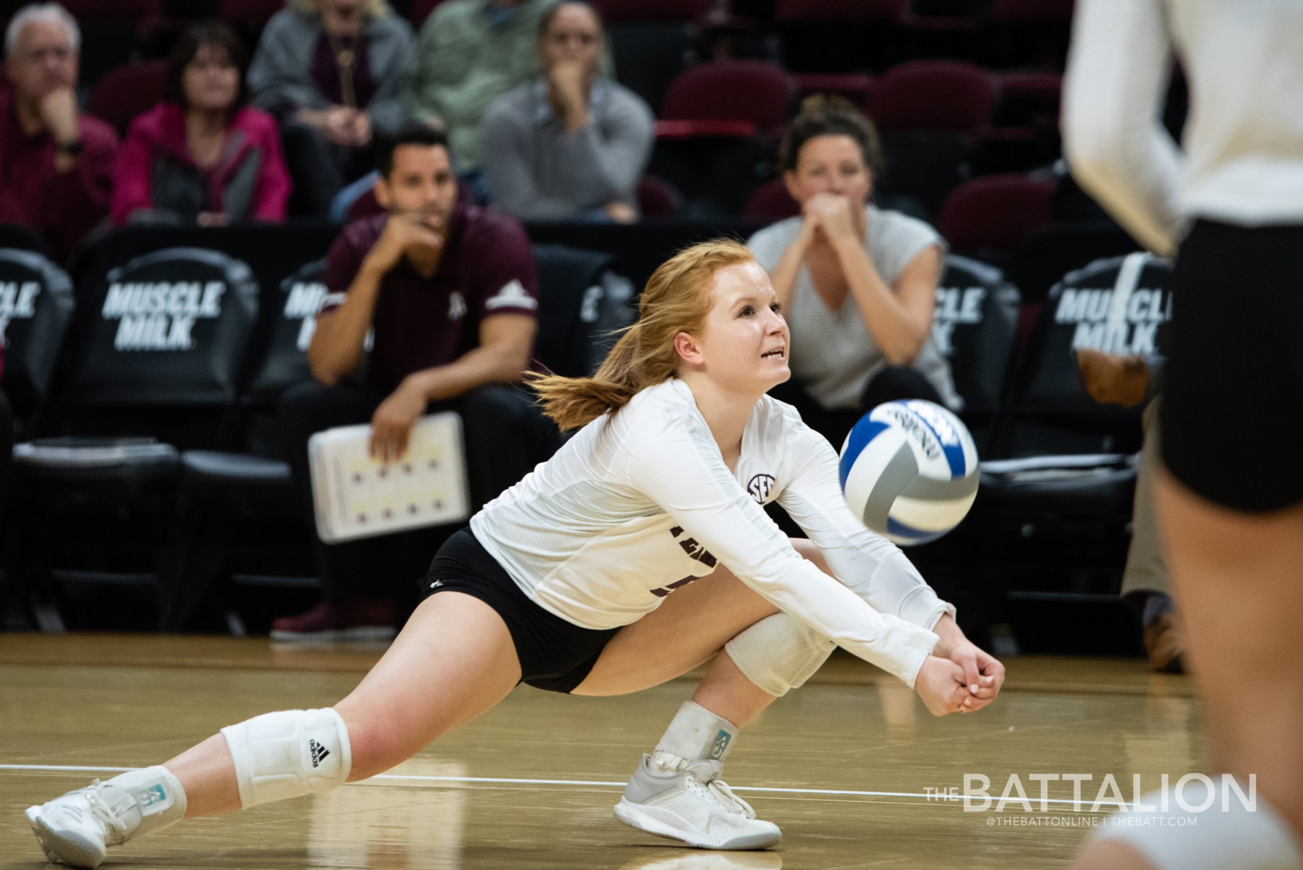 Volleyball+vs.+South+Carolina