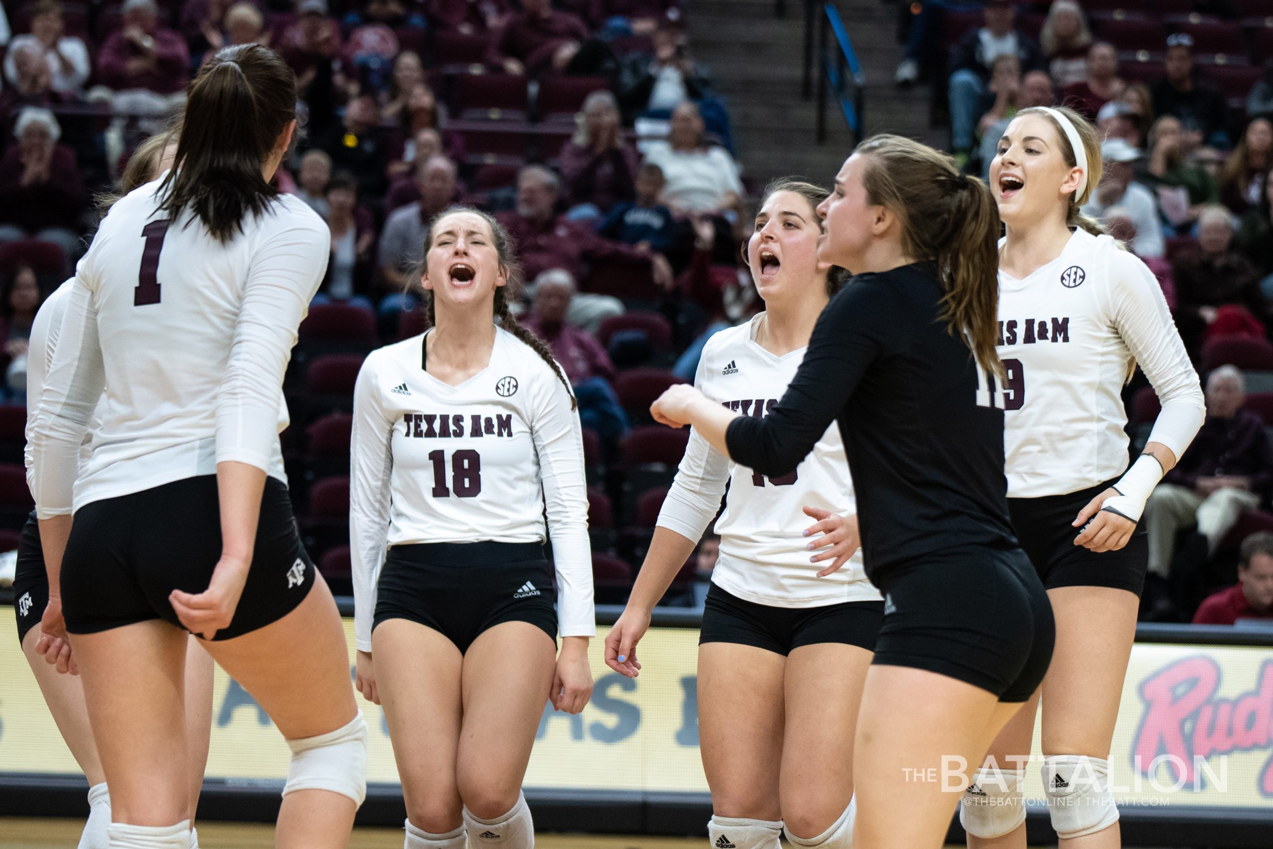 Volleyball+vs.+South+Carolina