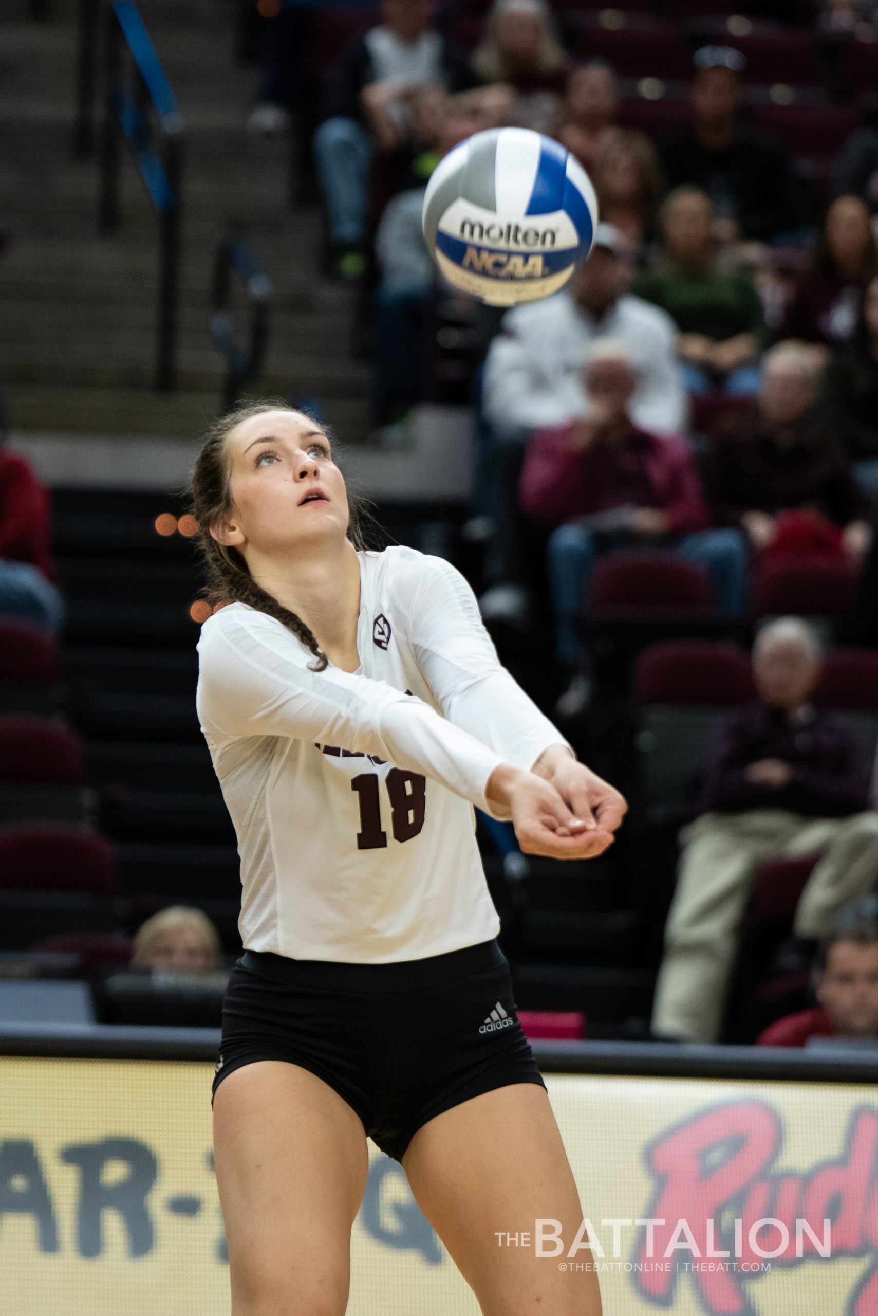 Volleyball+vs.+South+Carolina