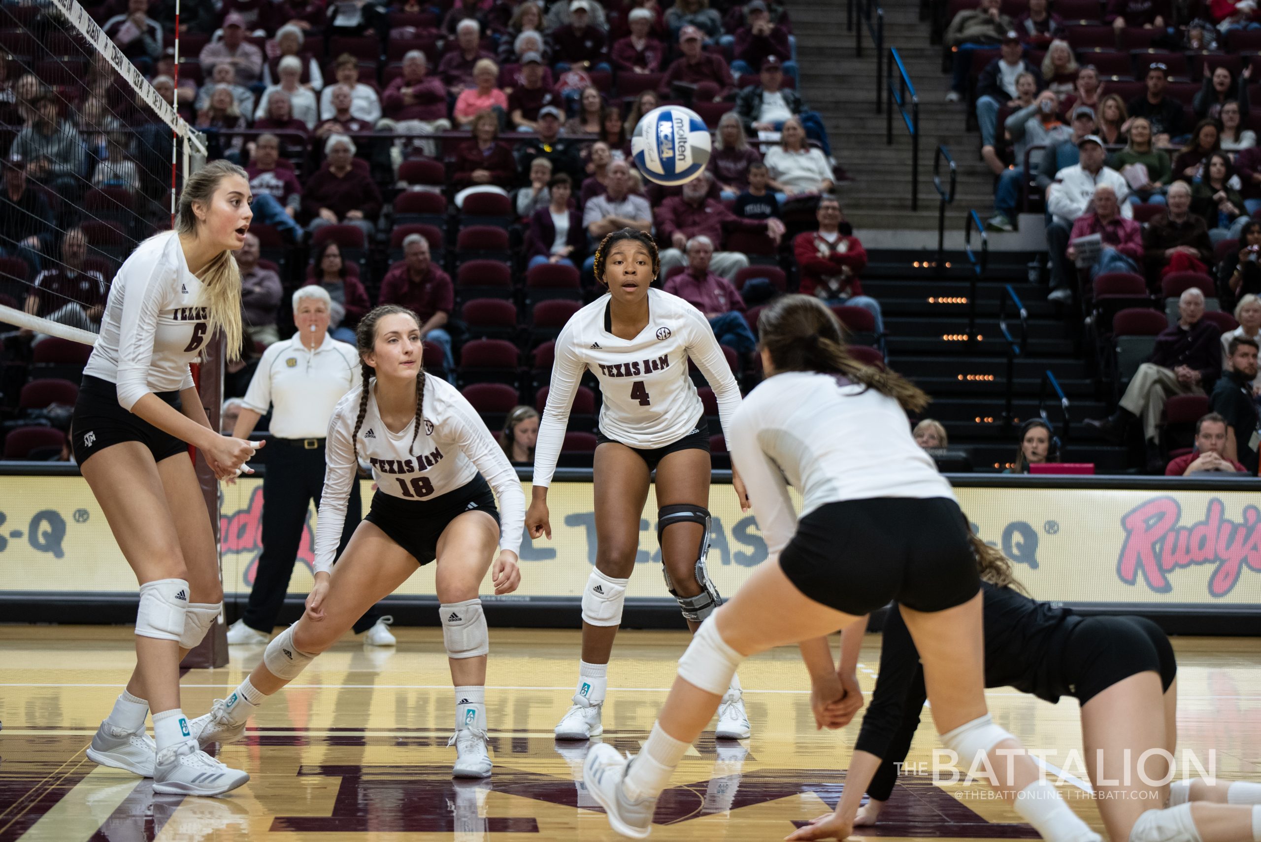 Volleyball+vs.+South+Carolina