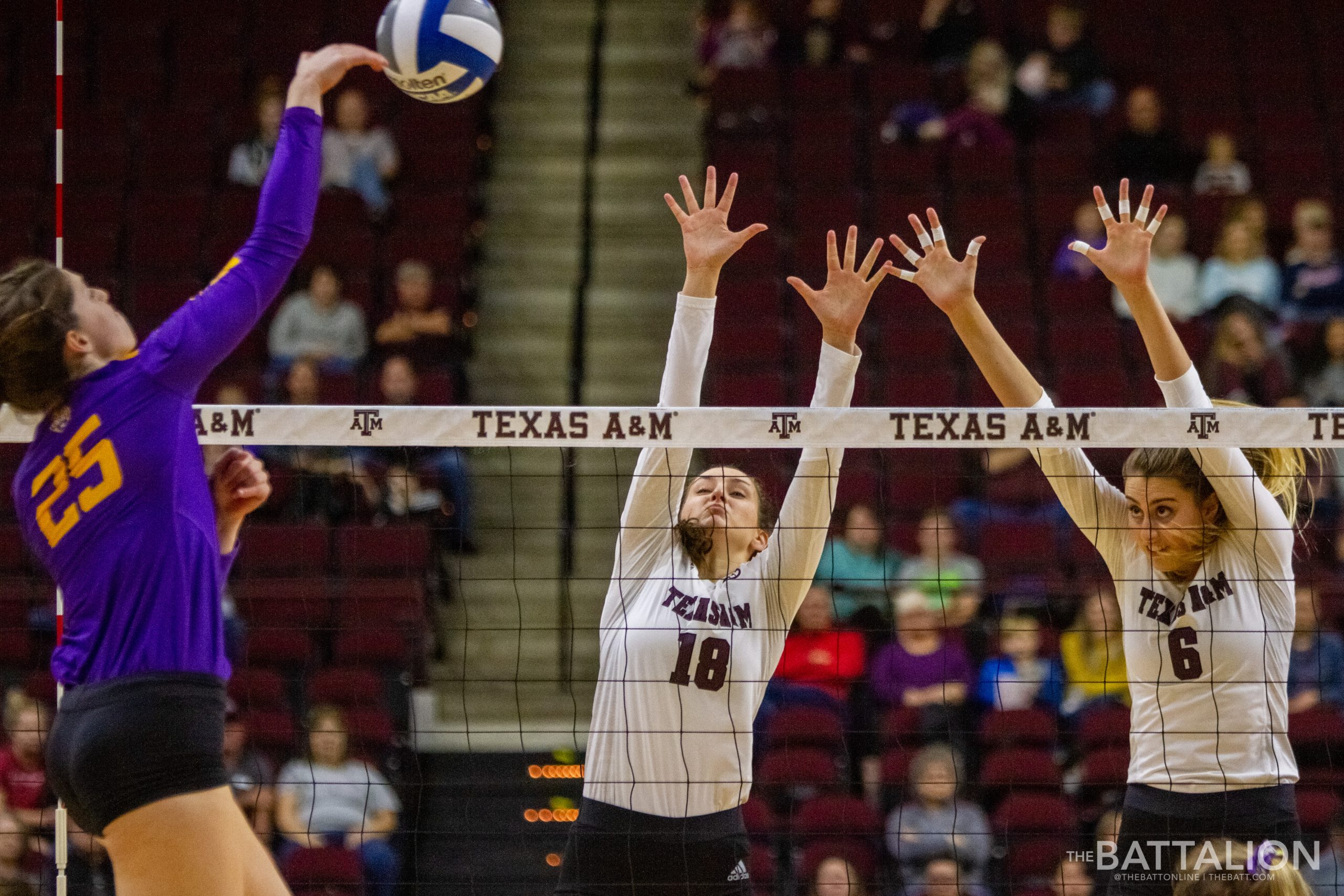 Volleyball vs. LSU