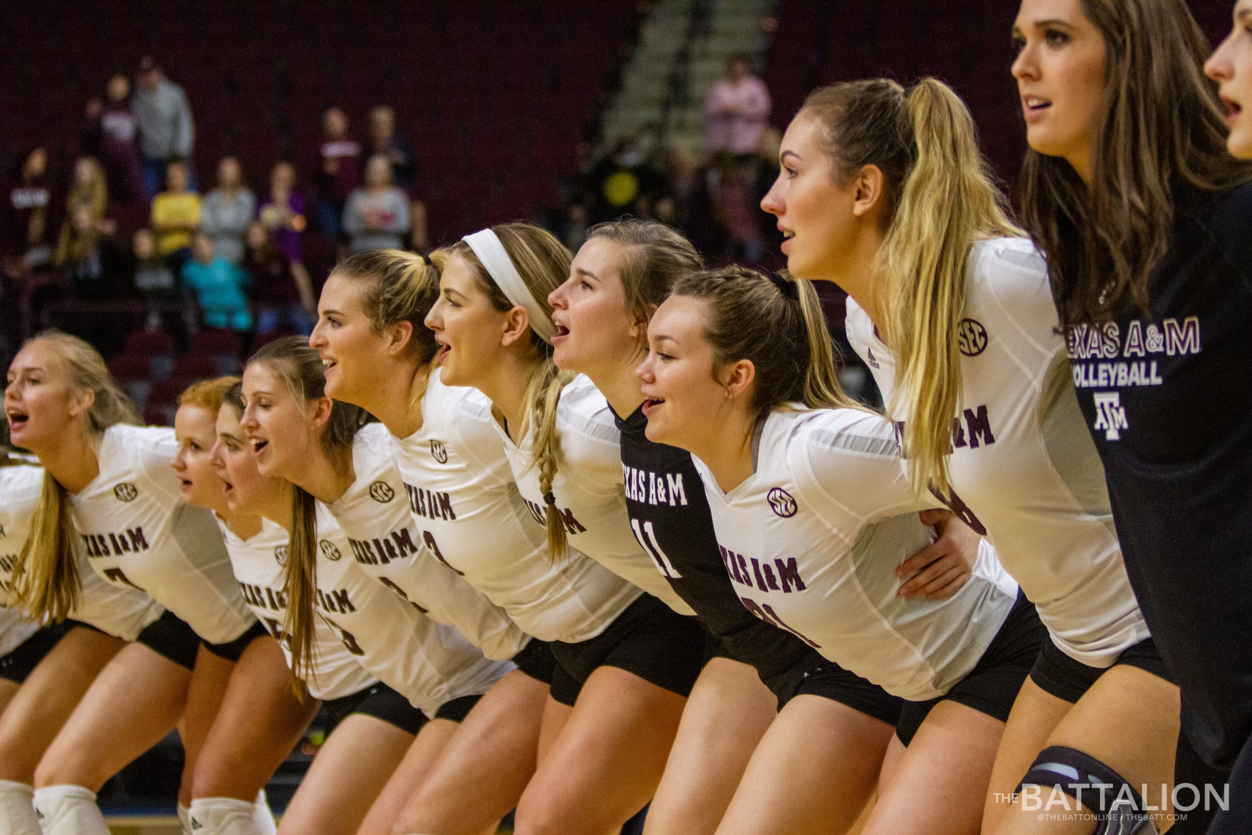 Volleyball+vs.+LSU