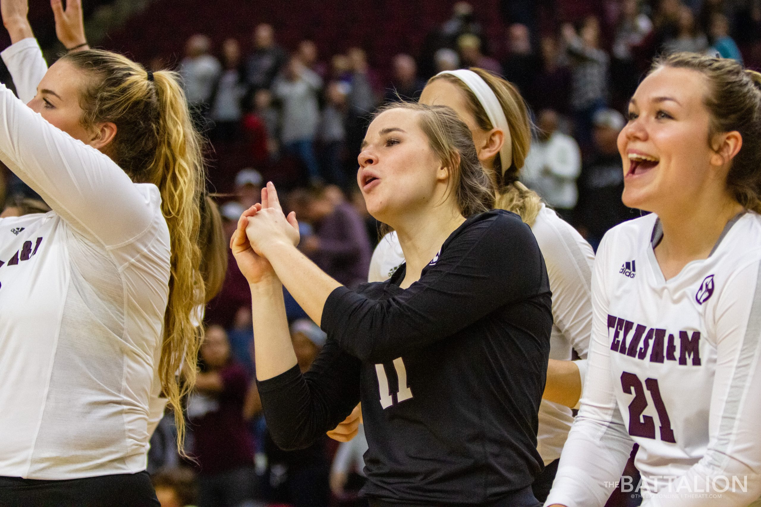 Volleyball vs. LSU