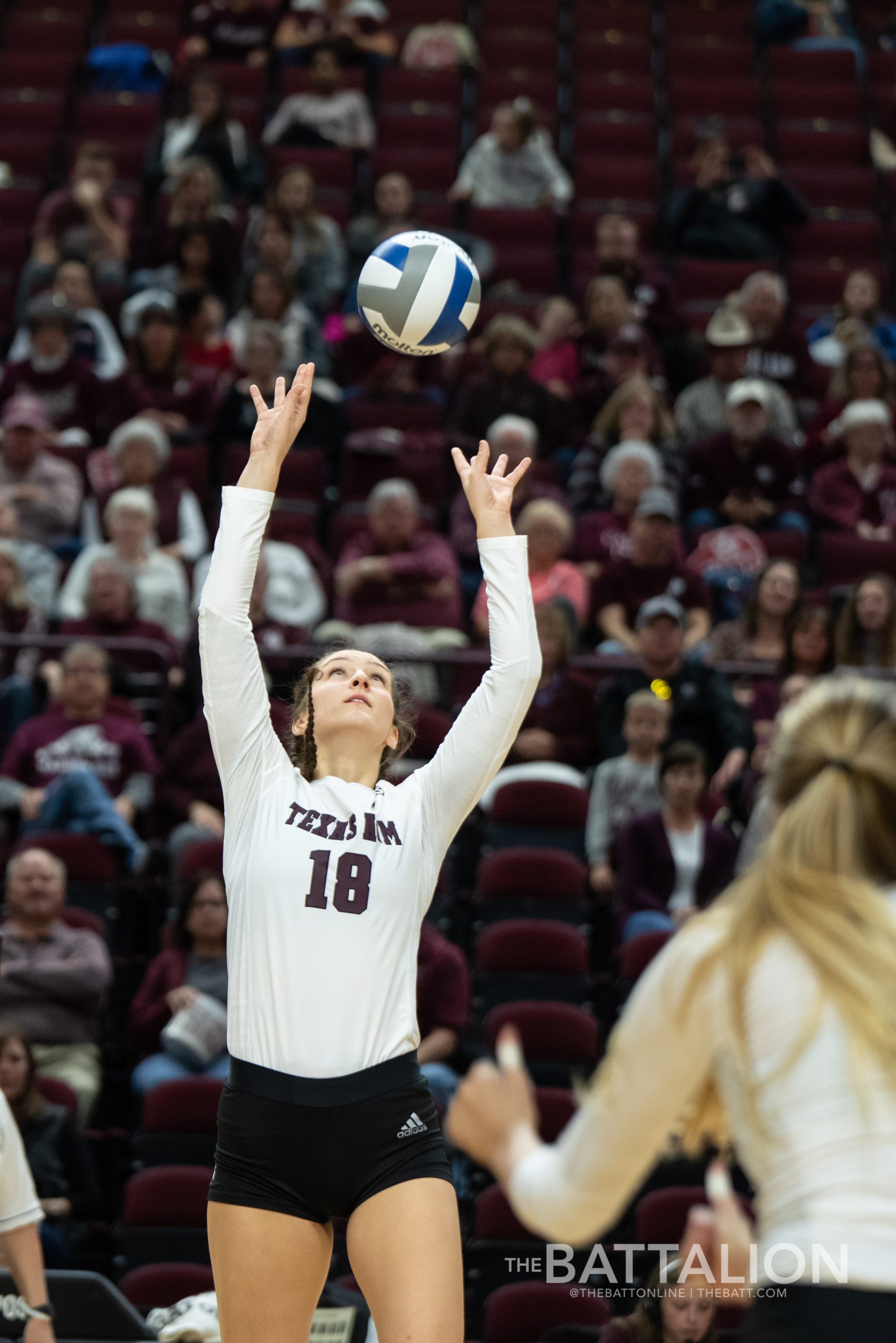 Volleyball+vs.+South+Carolina