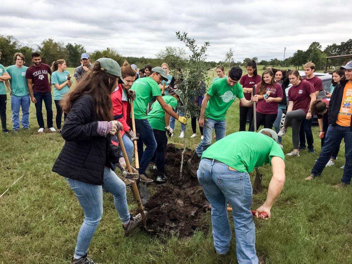 Members+of+Aggie+Replant+plant+trees+around+the+community+in+Bryan-College+Station+and+across+the+state.