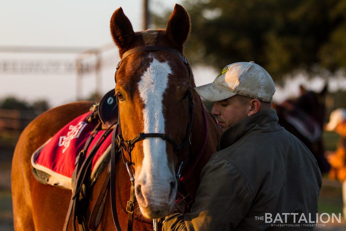 International studies junior John Borland prepares to mount his horse for riding practice at Fiddler’s Green on Nov. 13. 