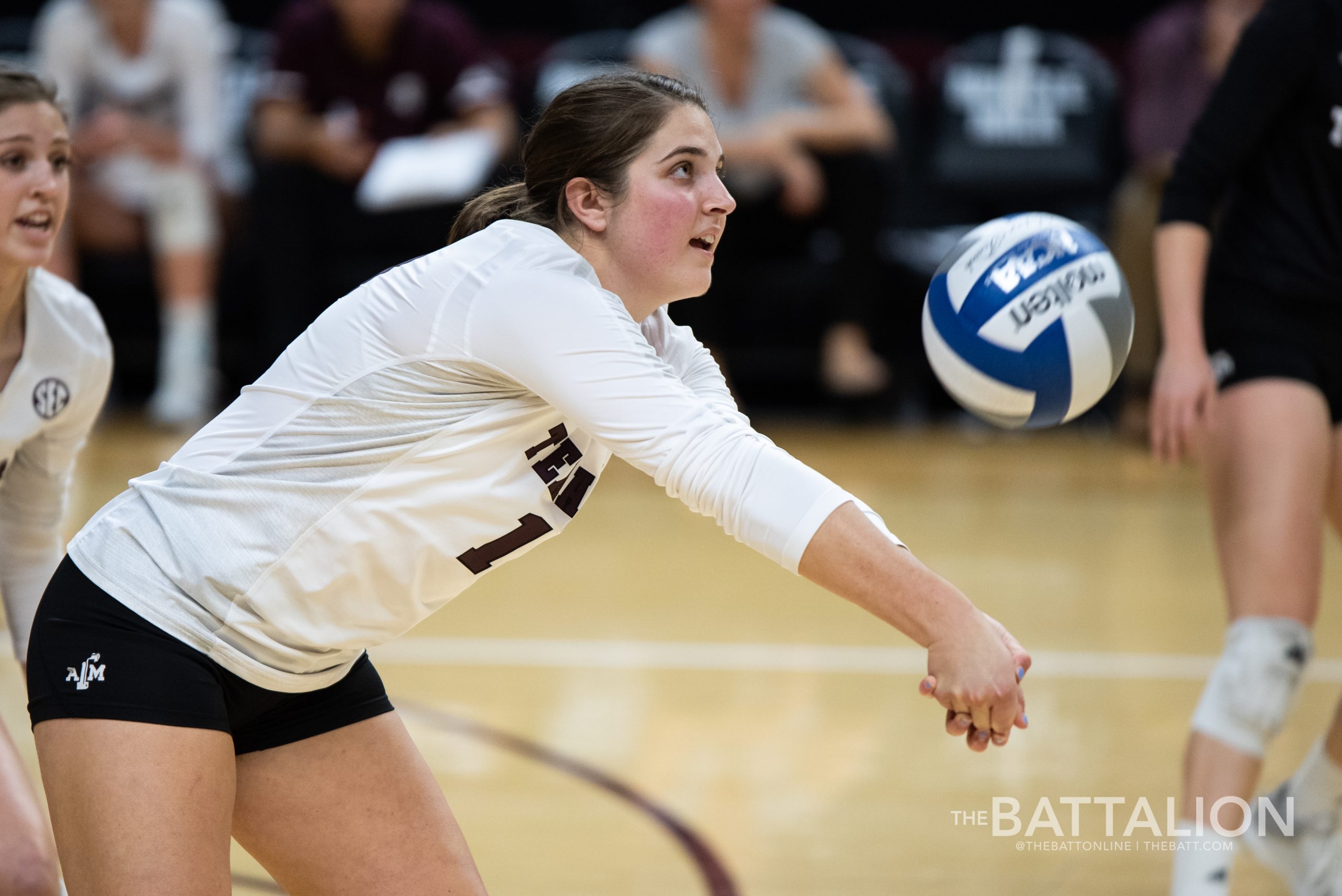 Volleyball+vs.+South+Carolina