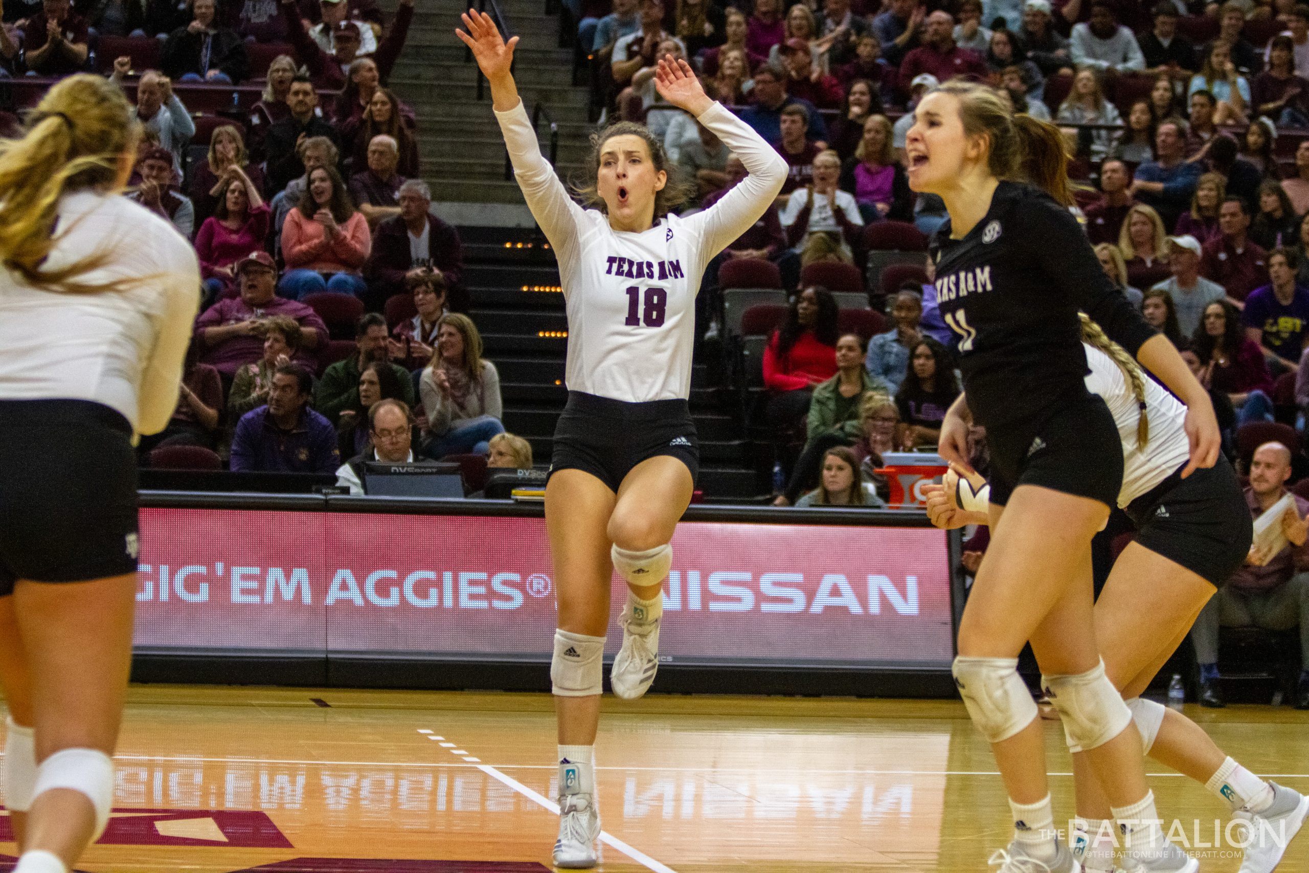 Volleyball vs. LSU