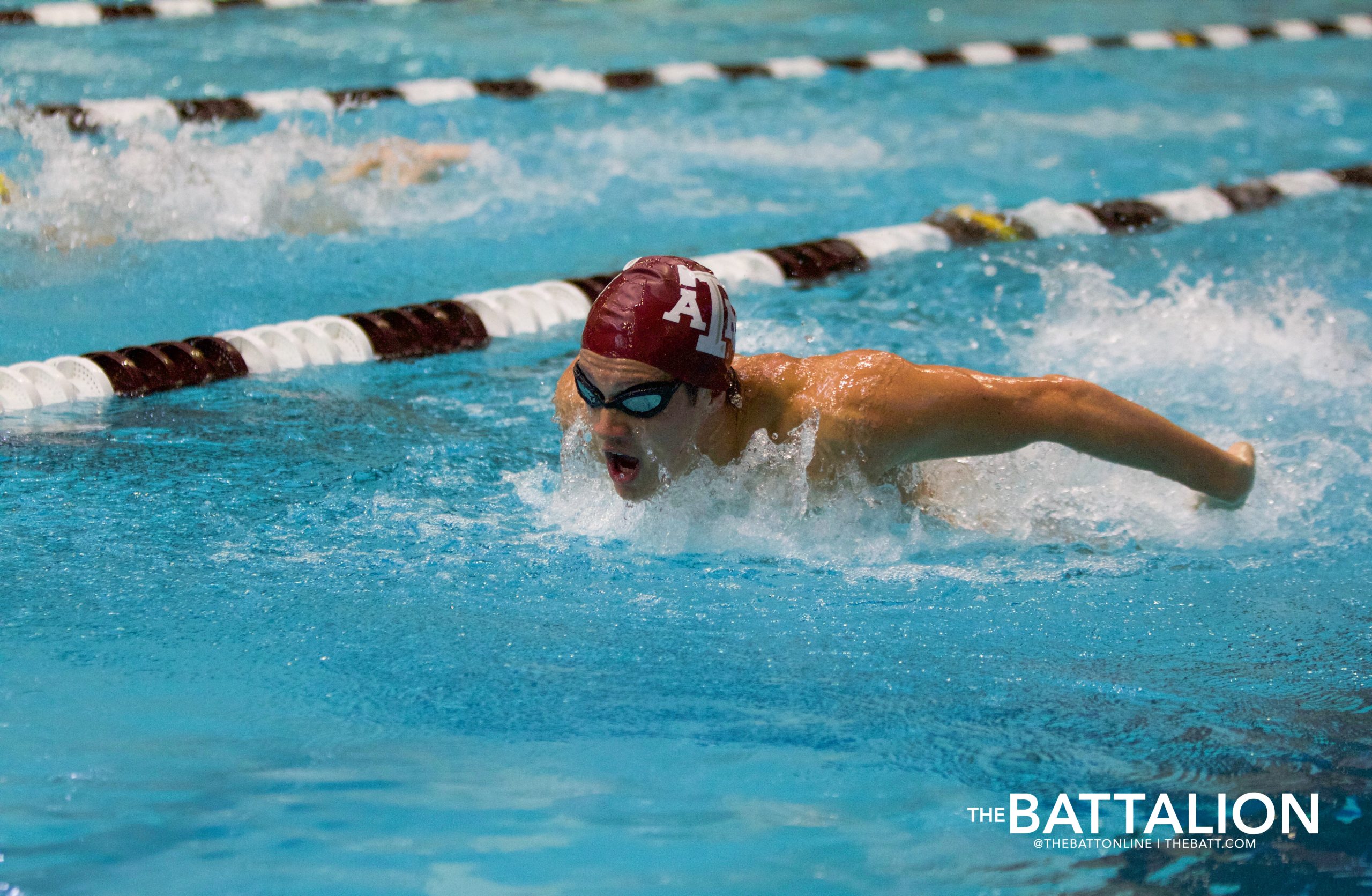 GALLERY: Swim & Dive vs. LSU