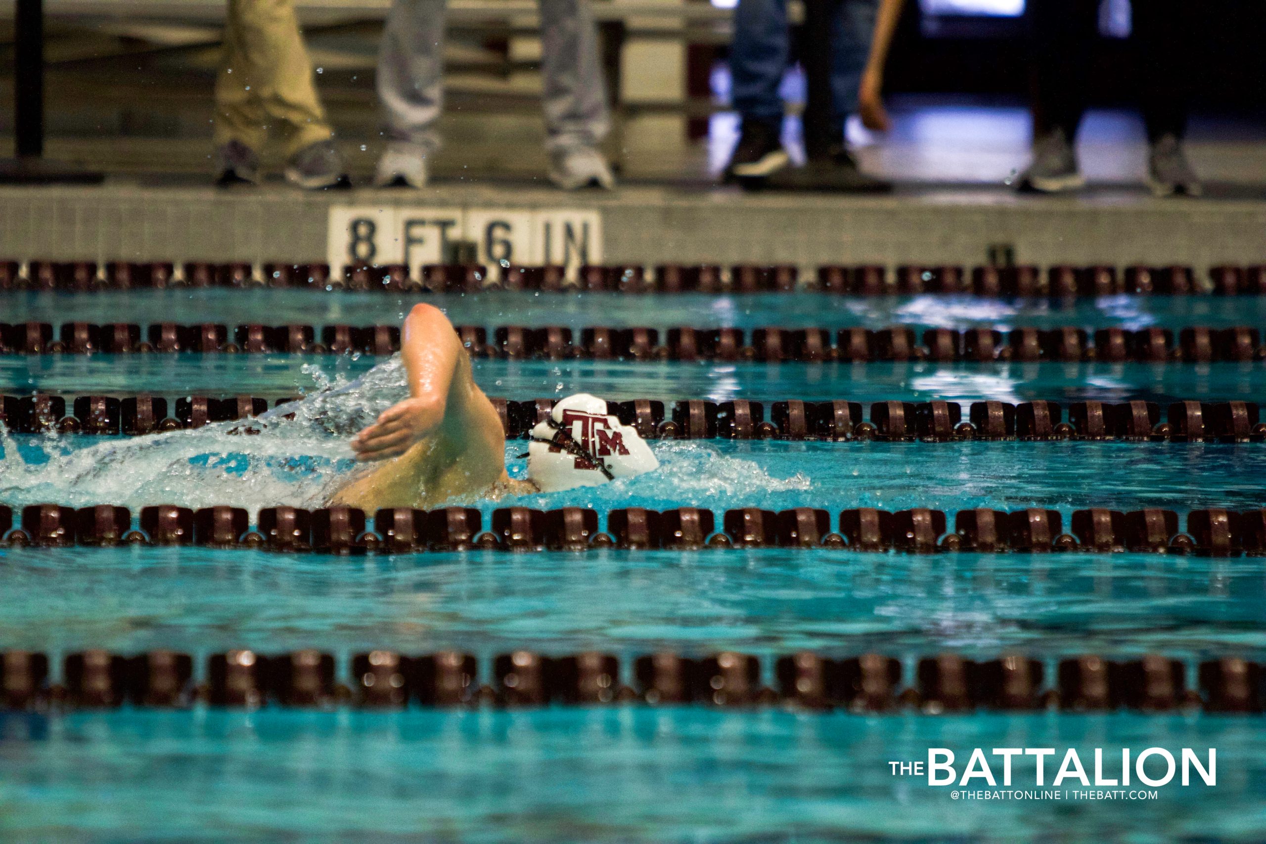 GALLERY: Swim & Dive vs. LSU