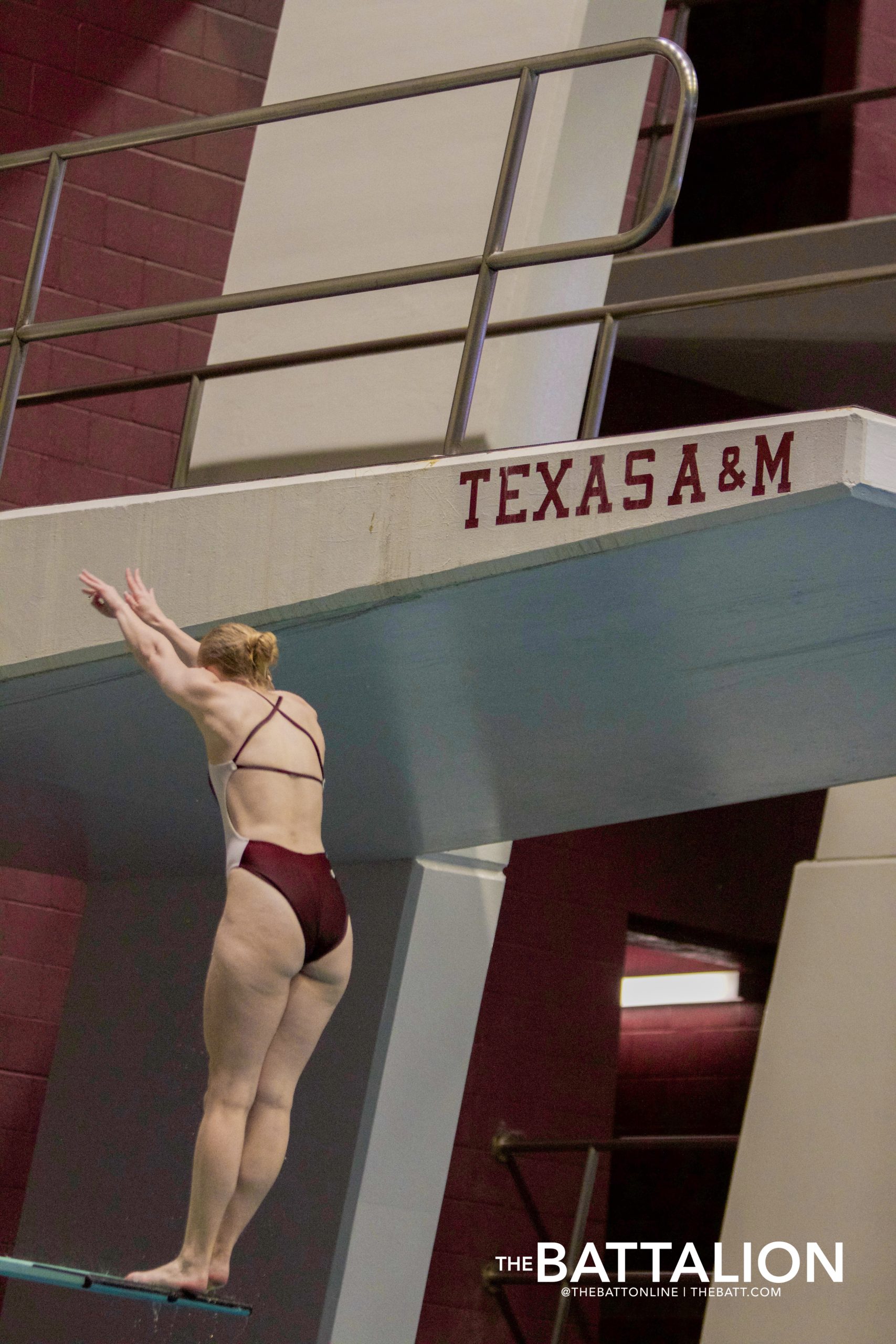 GALLERY%3A+Swim+%26+Dive+vs.+LSU