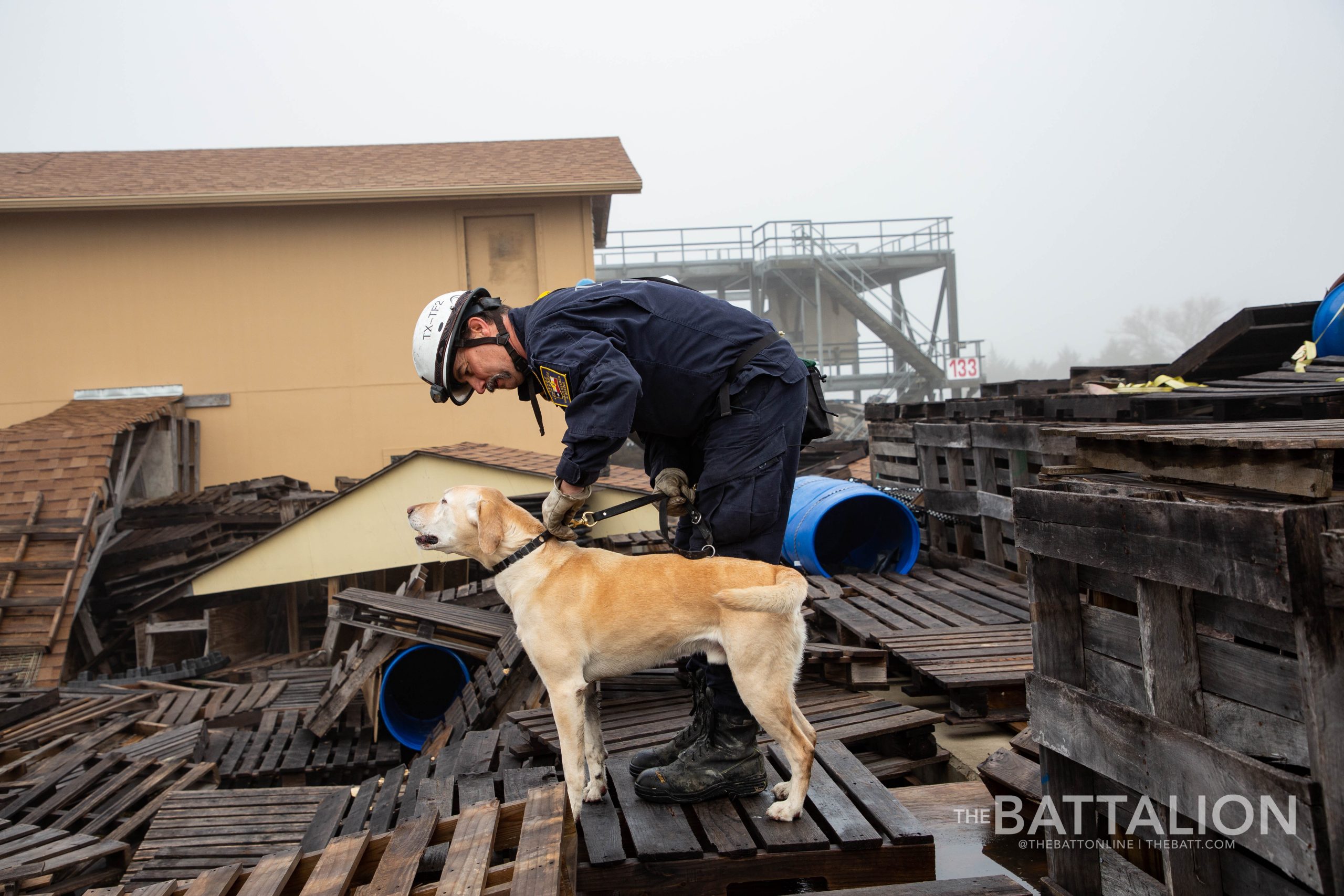 GALLERY: FEMA Canine Training at Disaster City