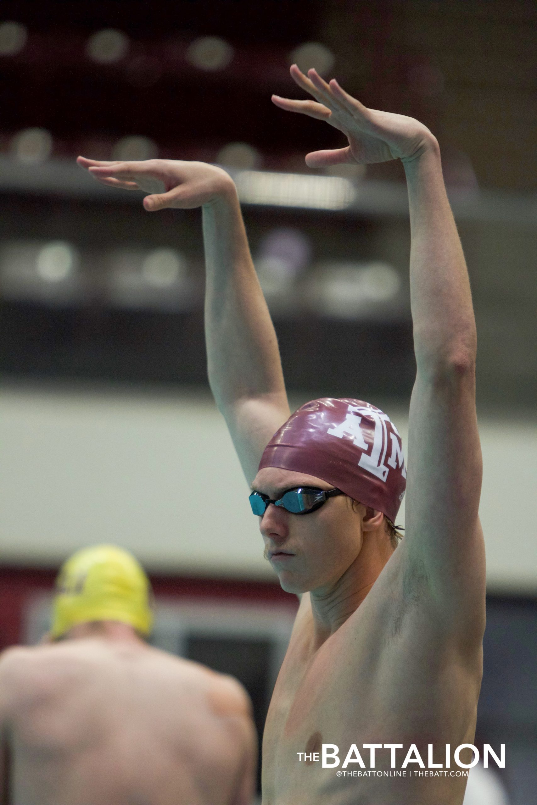 GALLERY%3A+Swim+%26+Dive+vs.+LSU