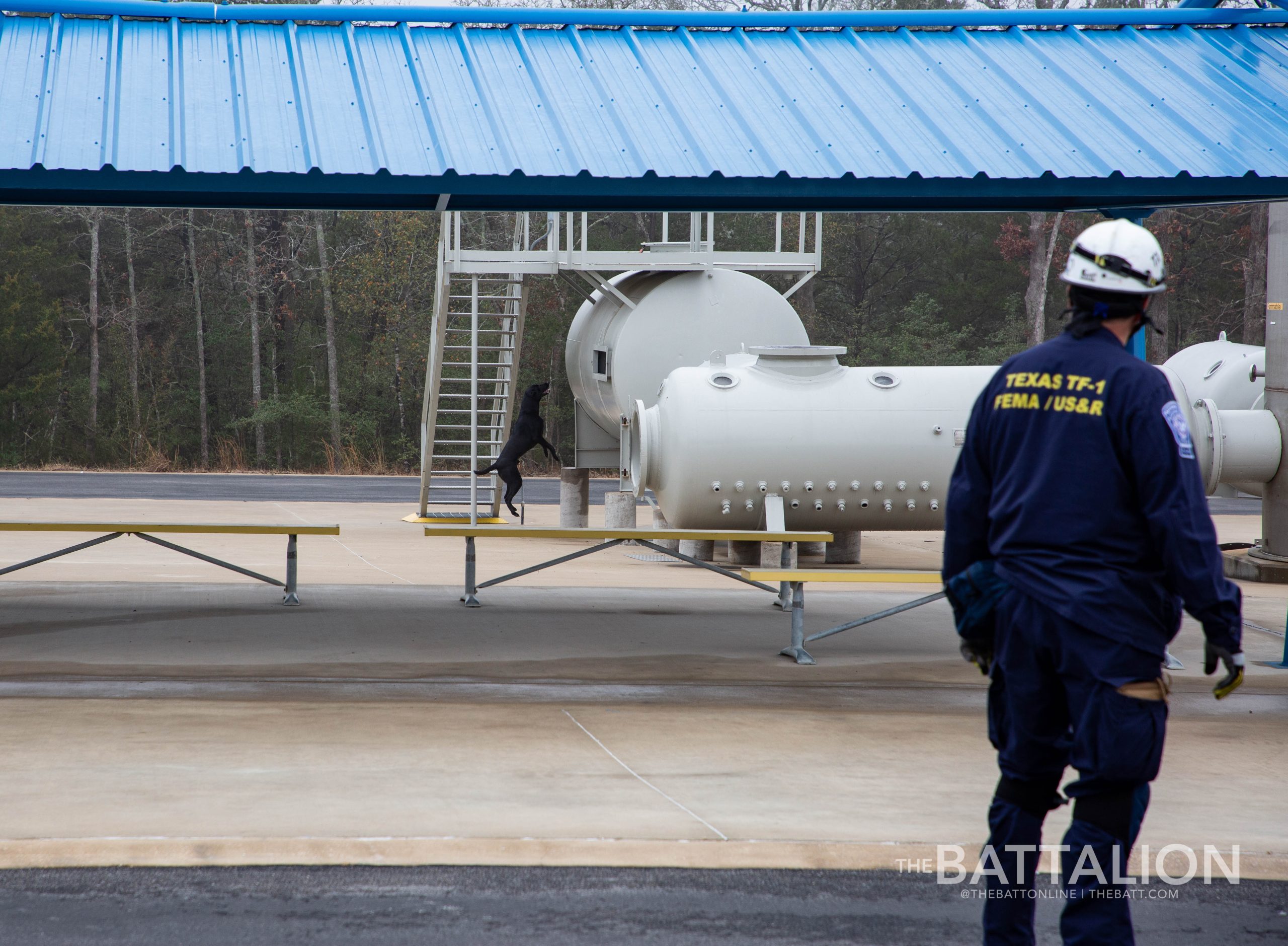 GALLERY: FEMA Canine Training at Disaster City