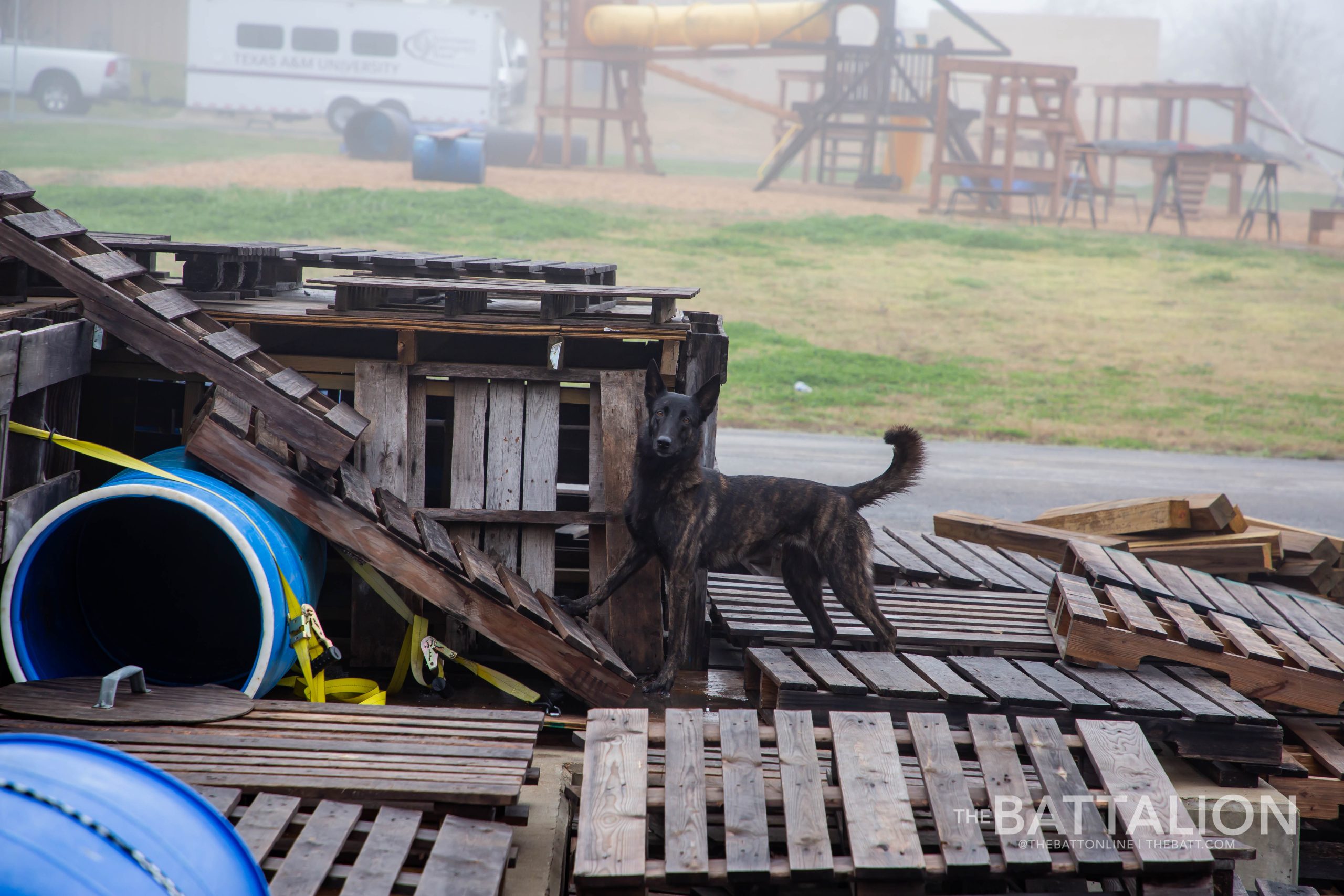 GALLERY: FEMA Canine Training at Disaster City