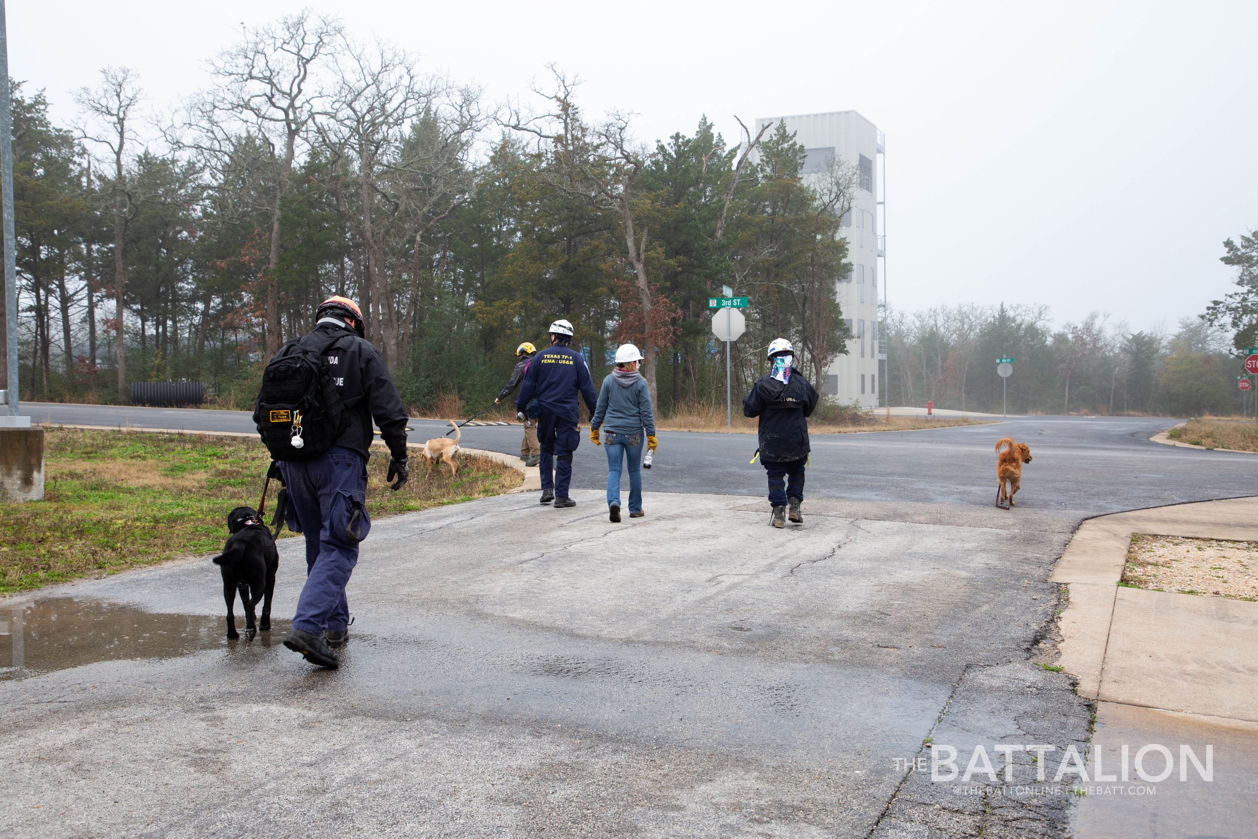 GALLERY: FEMA Canine Training at Disaster City