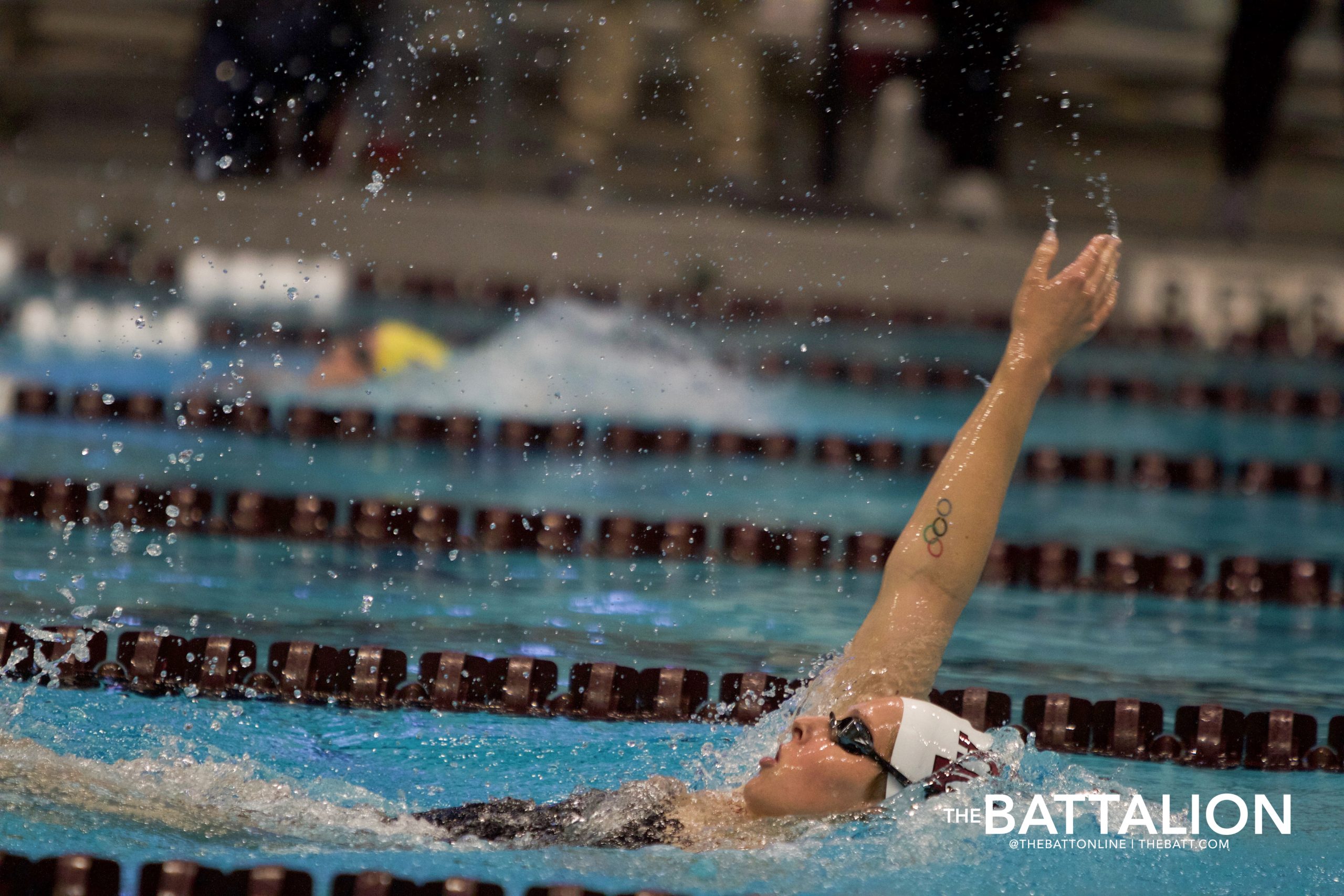 GALLERY%3A+Swim+%26+Dive+vs.+LSU