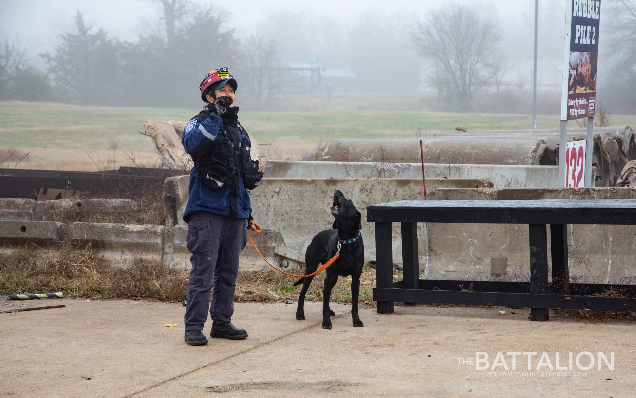 GALLERY: FEMA Canine Training at Disaster City