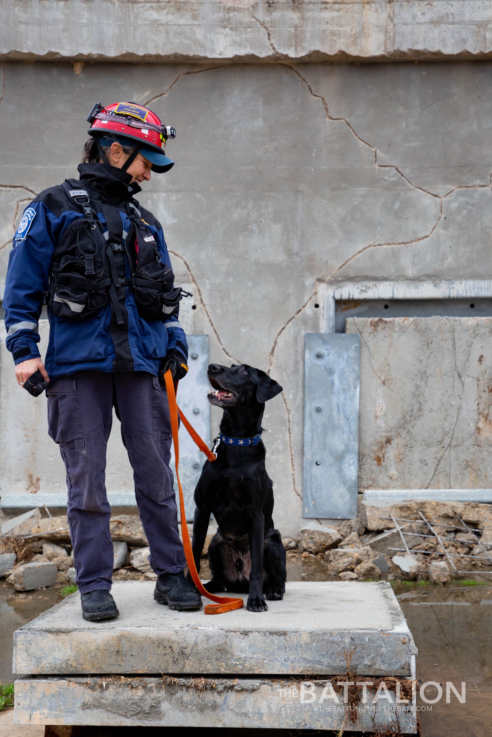 GALLERY: FEMA Canine Training at Disaster City