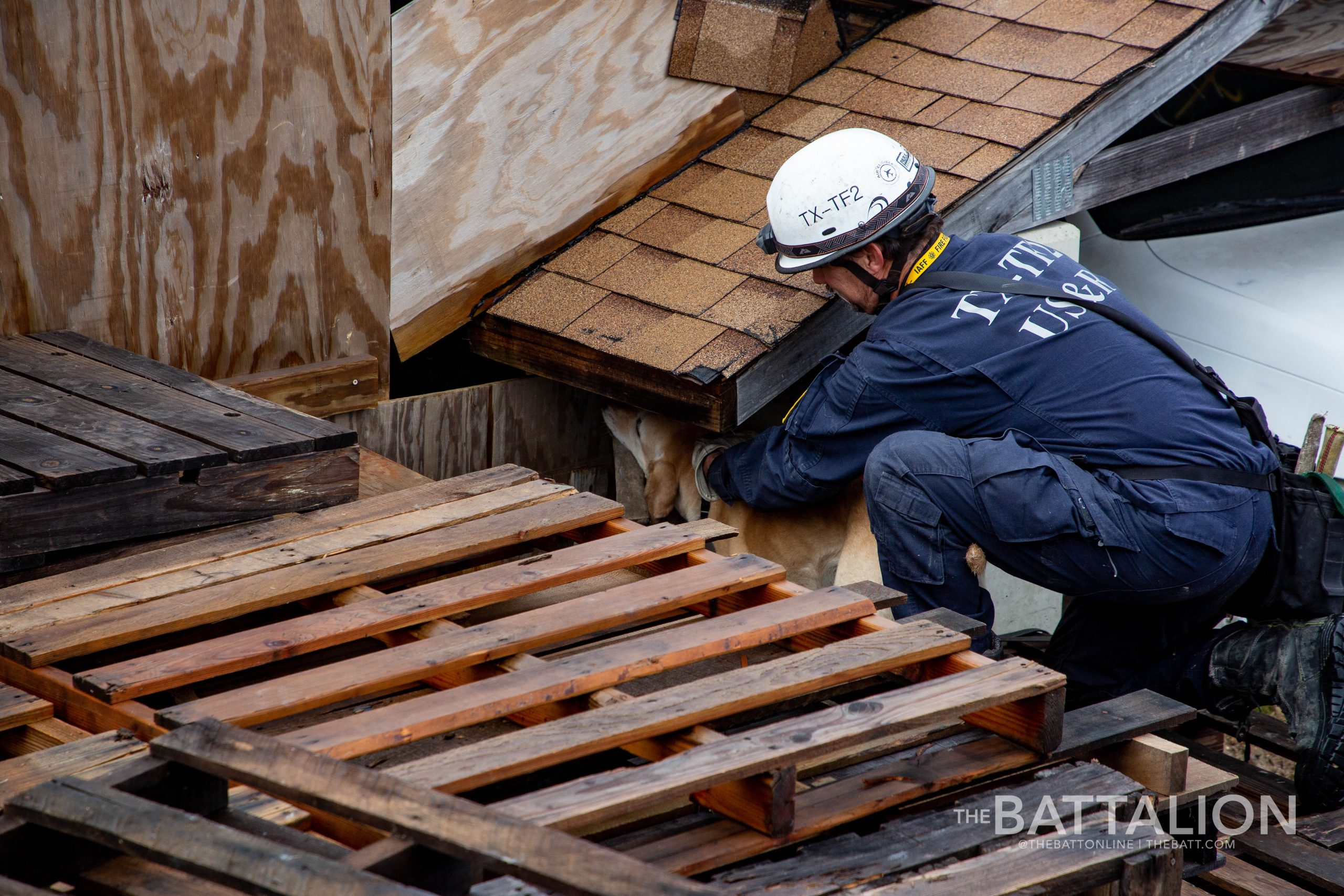 GALLERY: FEMA Canine Training at Disaster City