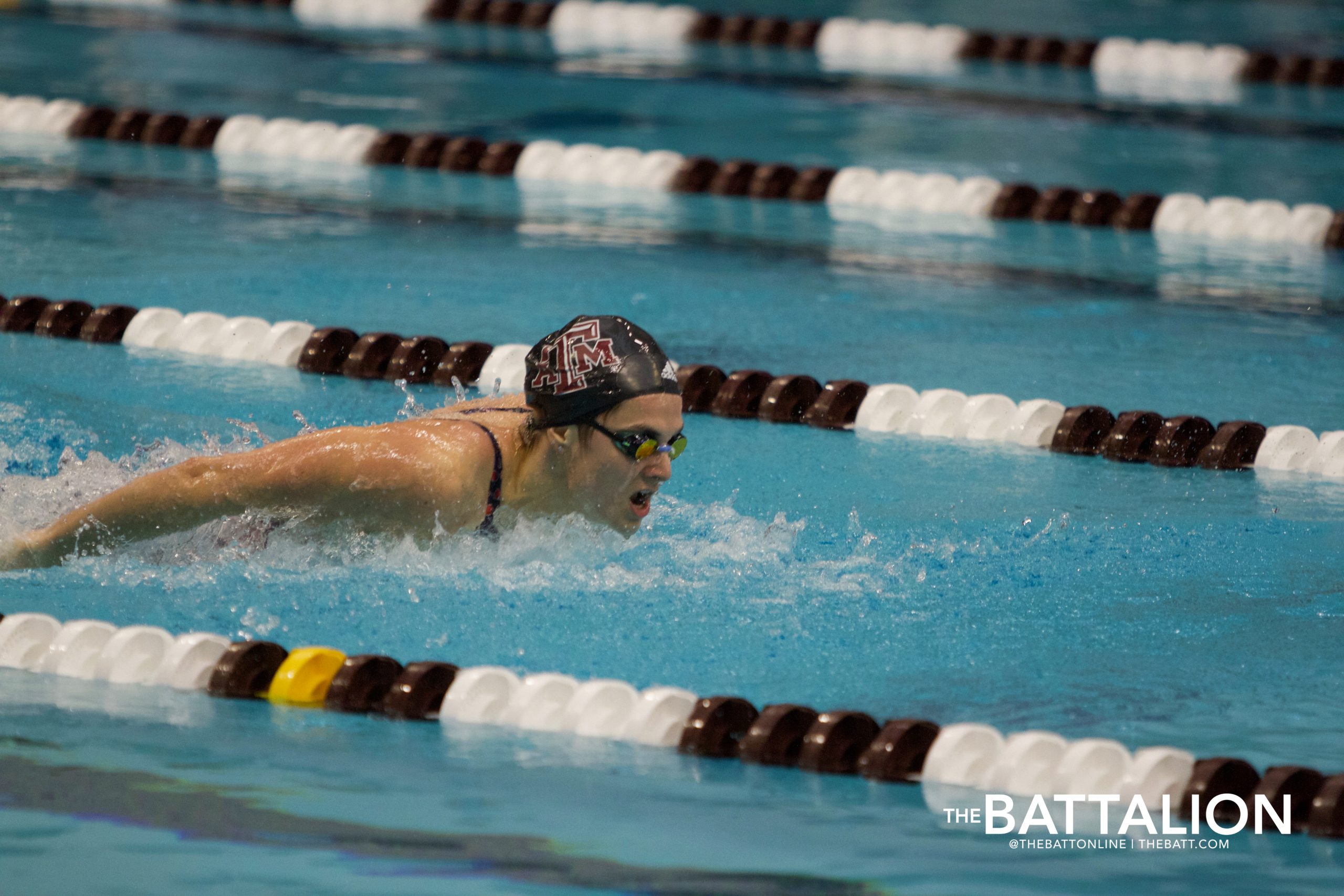 GALLERY%3A+Swim+%26+Dive+vs.+LSU