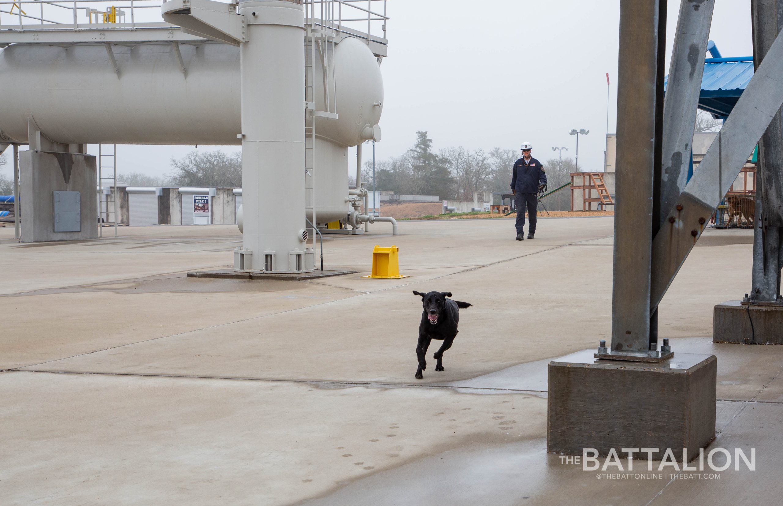 GALLERY: FEMA Canine Training at Disaster City