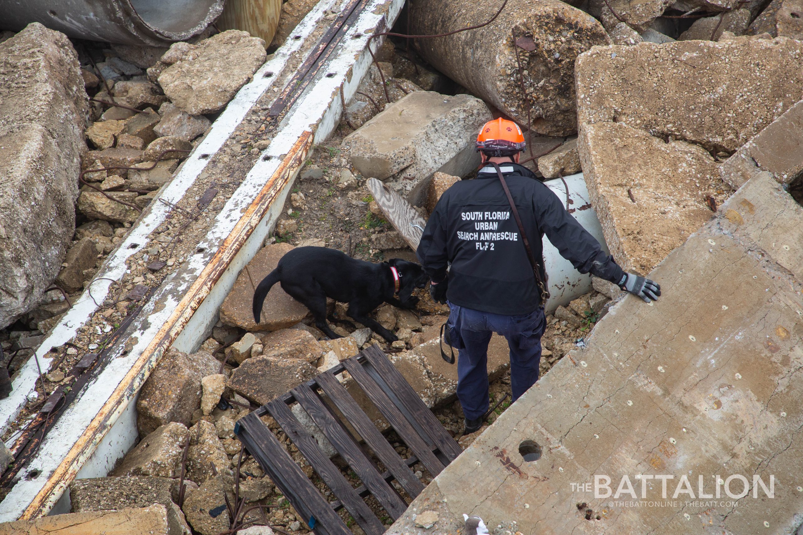 GALLERY: FEMA Canine Training at Disaster City