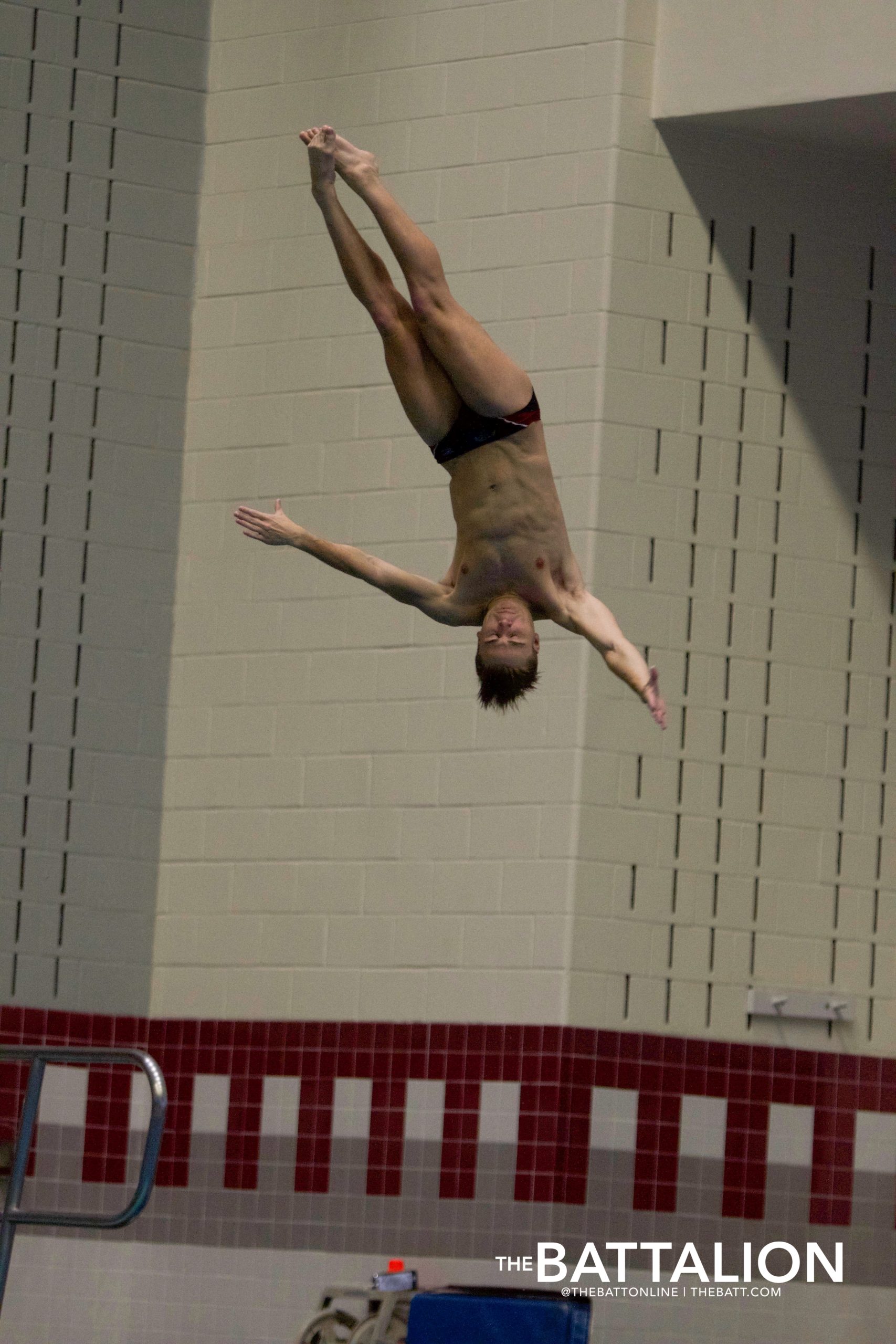 GALLERY: Swim & Dive vs. LSU