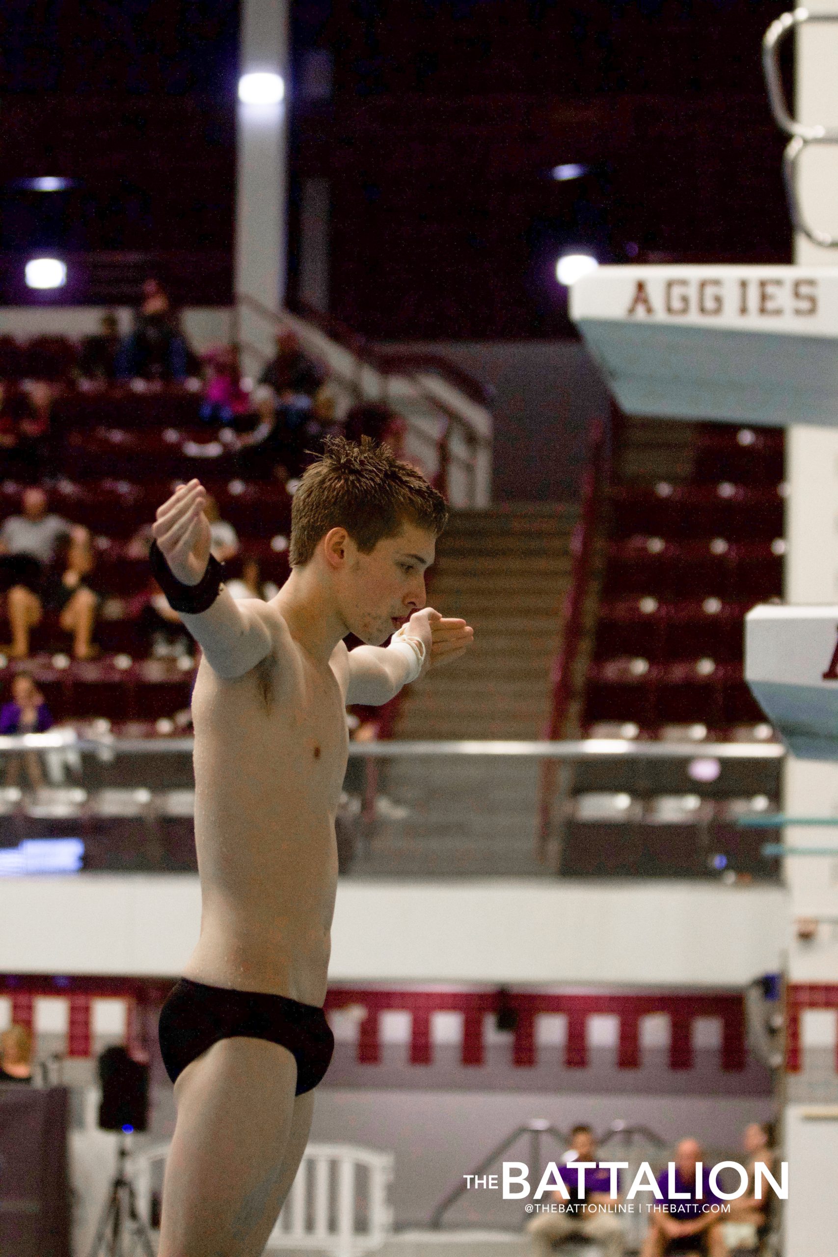 GALLERY: Swim & Dive vs. LSU