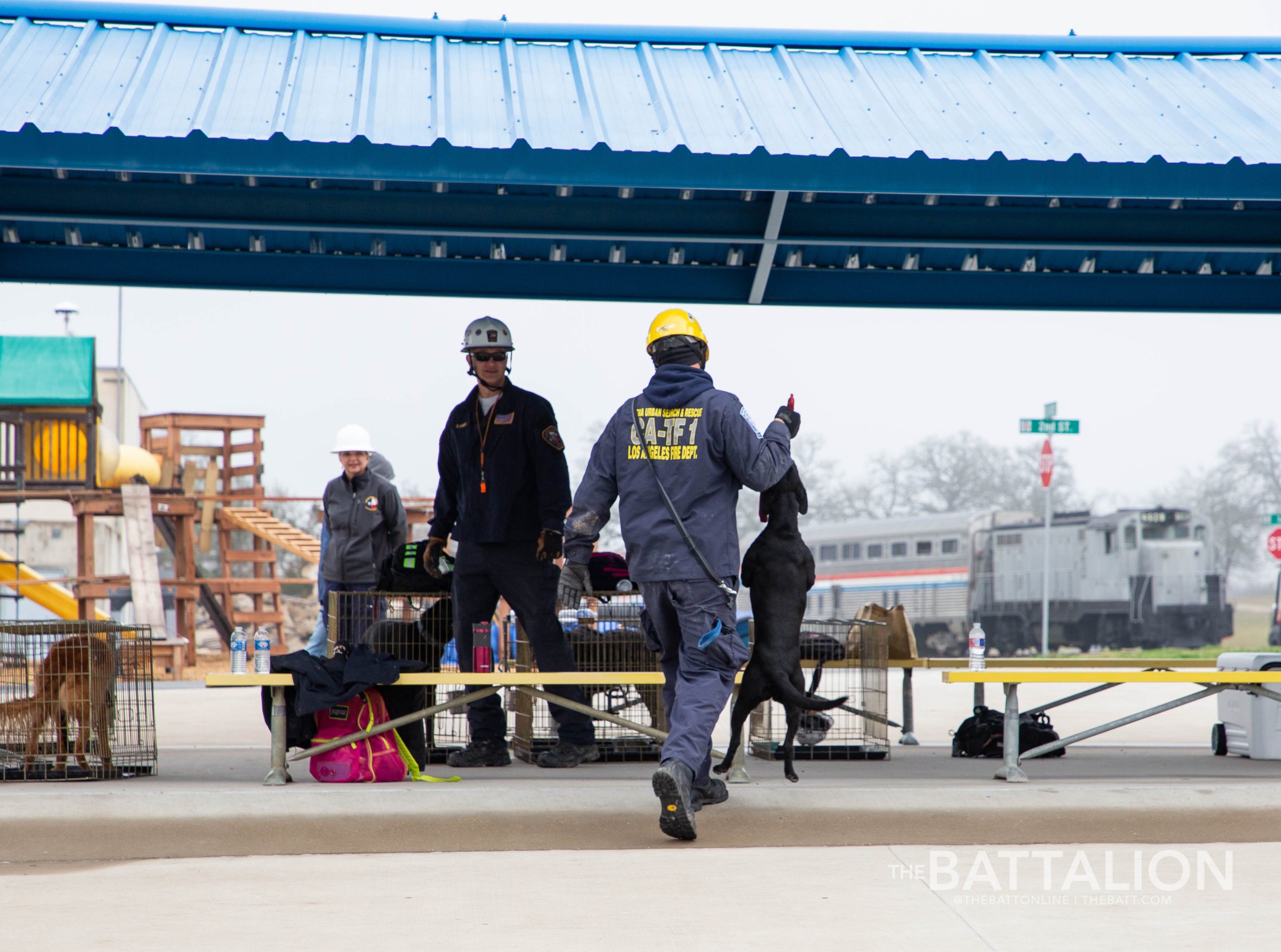 GALLERY: FEMA Canine Training at Disaster City