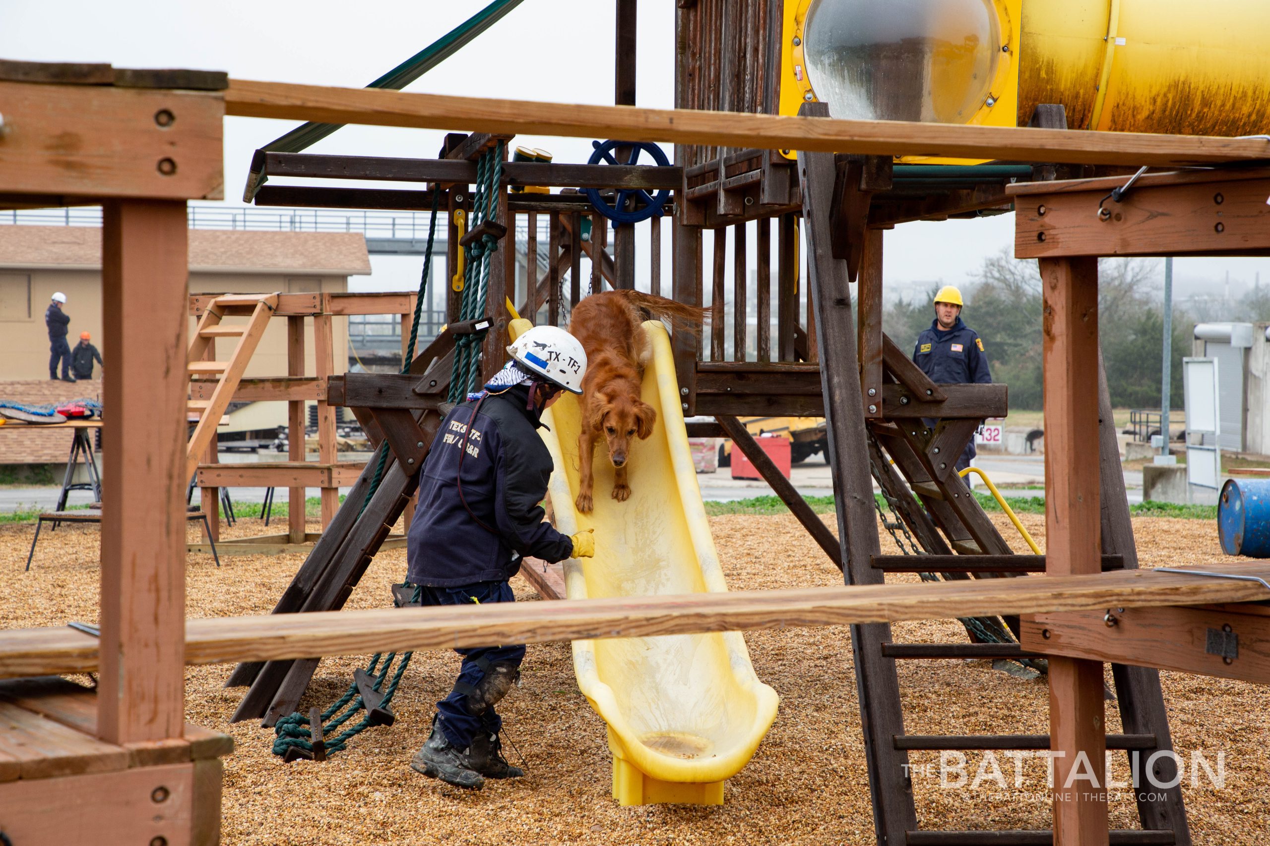 GALLERY: FEMA Canine Training at Disaster City