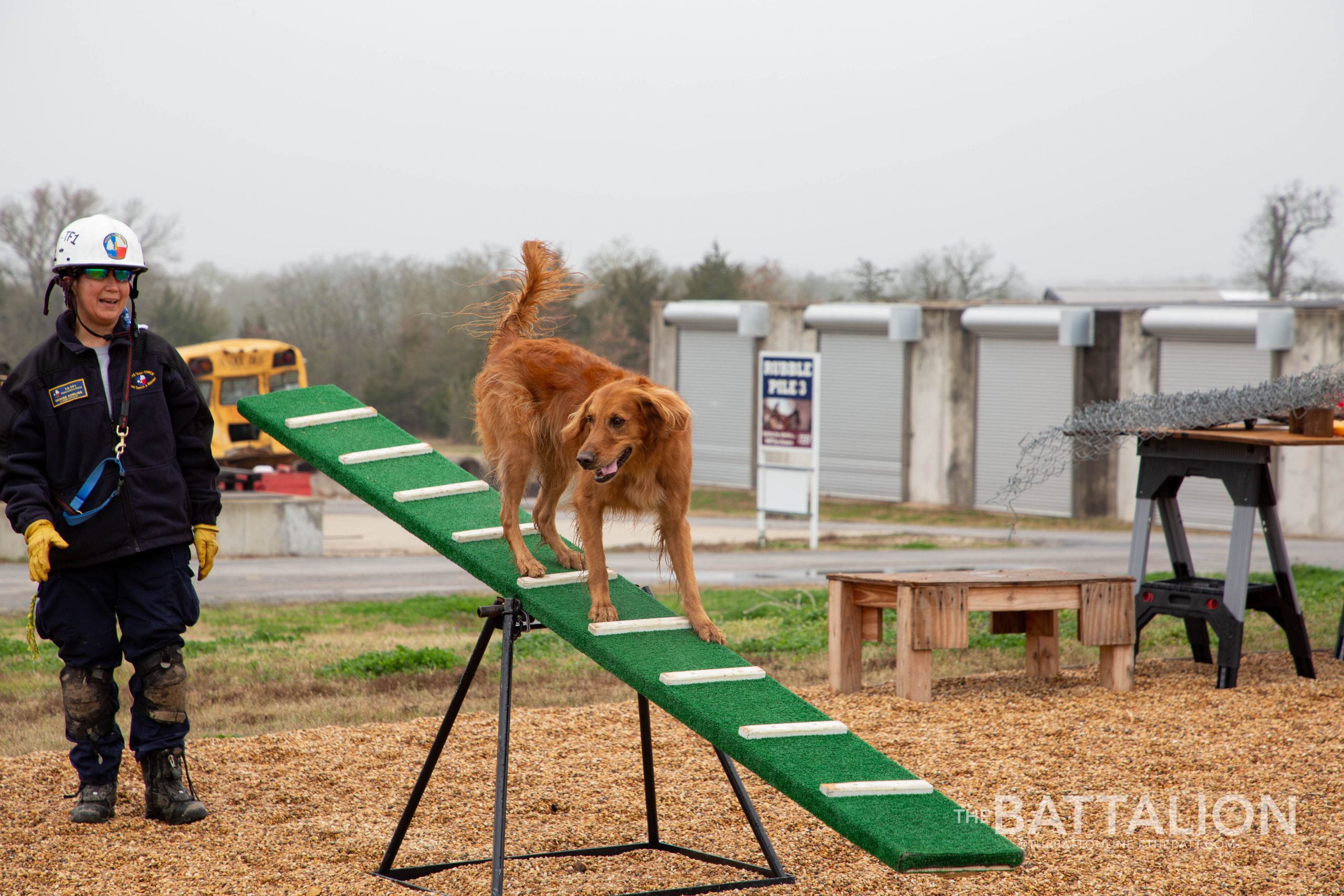 GALLERY: FEMA Canine Training at Disaster City