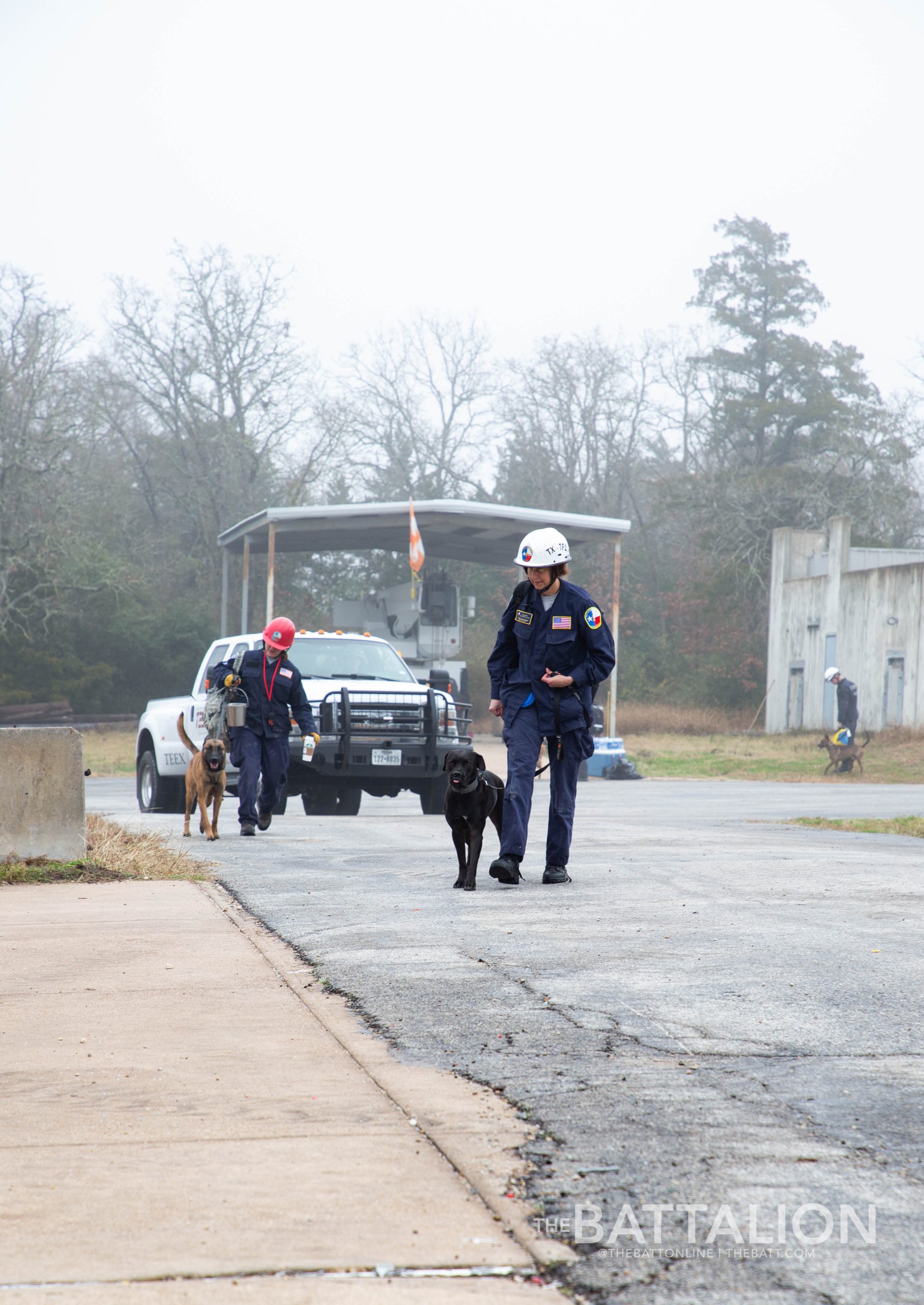 GALLERY: FEMA Canine Training at Disaster City