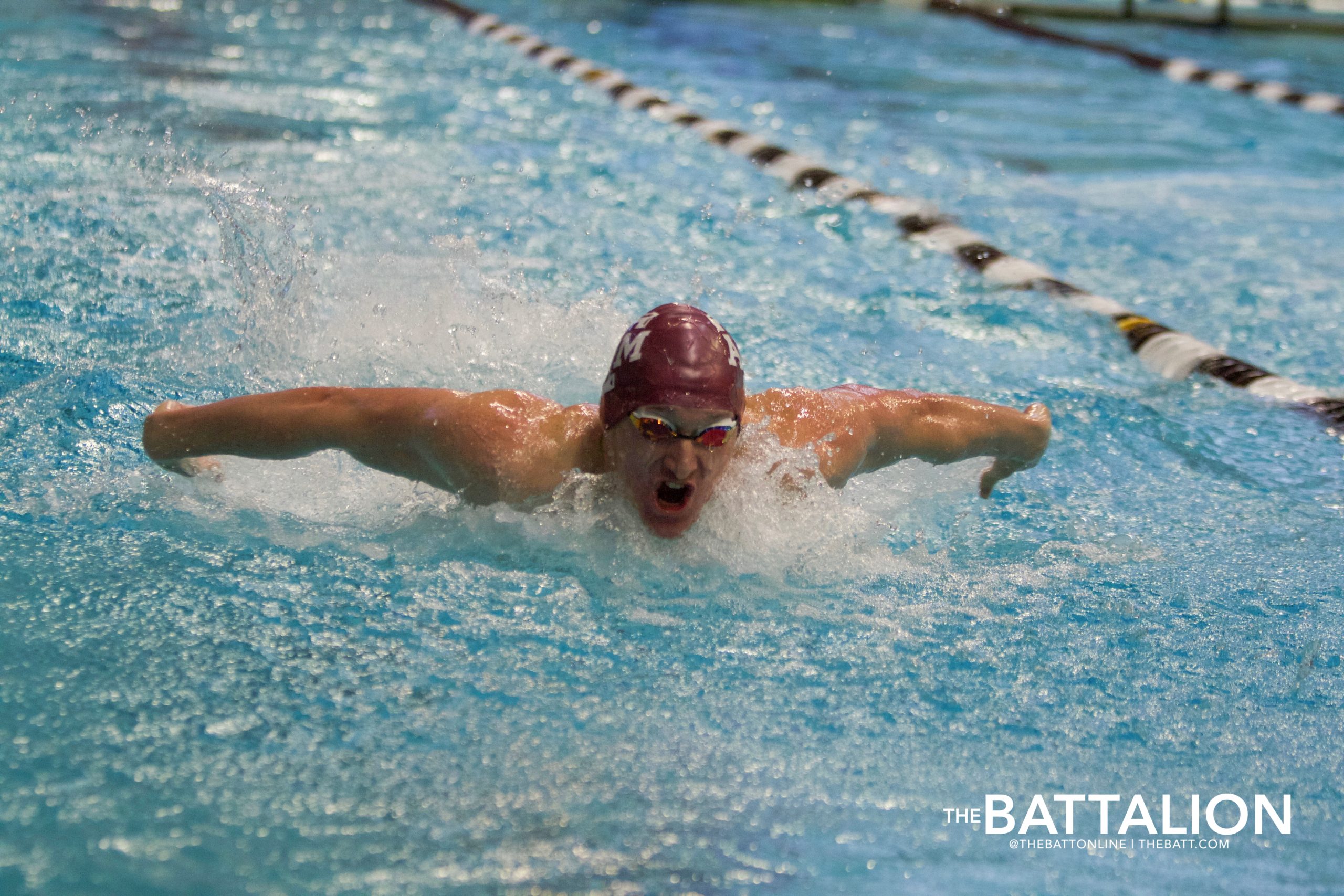 GALLERY: Swim & Dive vs. LSU