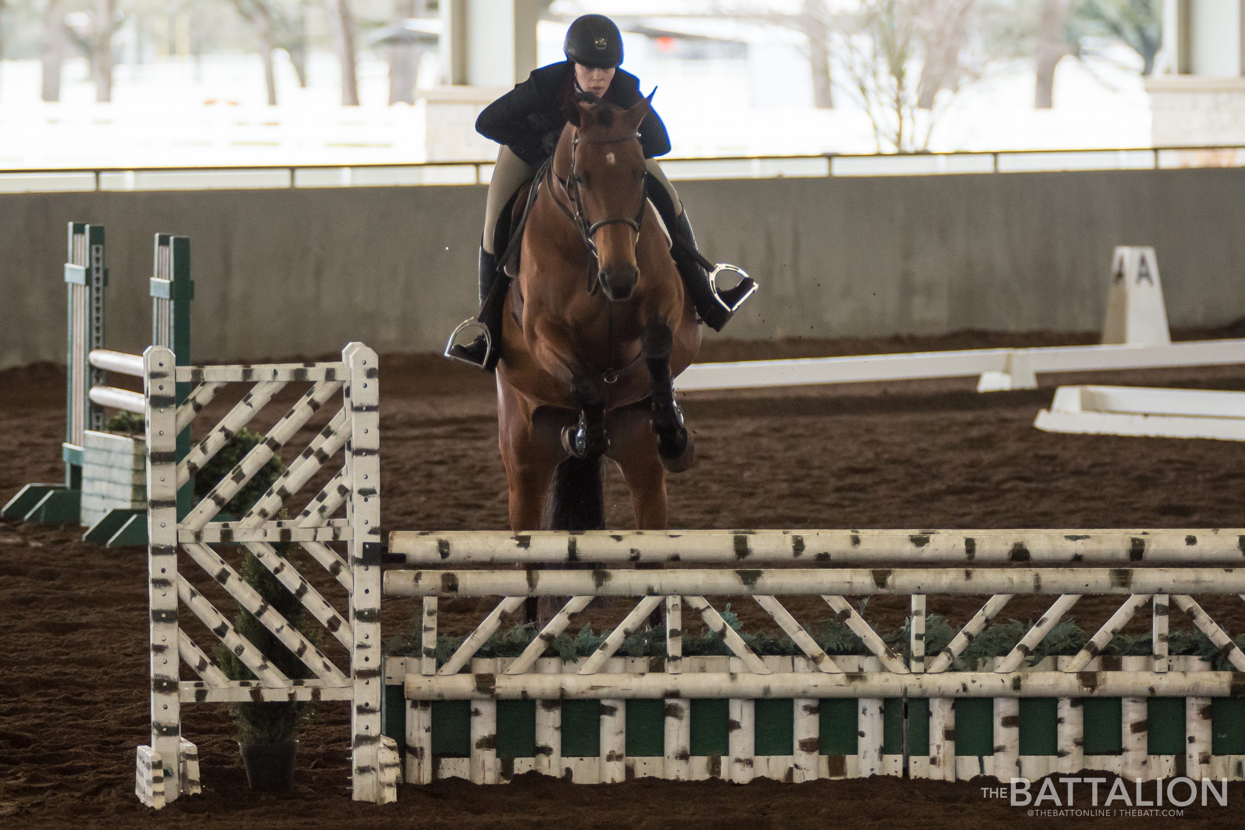 GALLERY: Equestrian vs. South Carolina