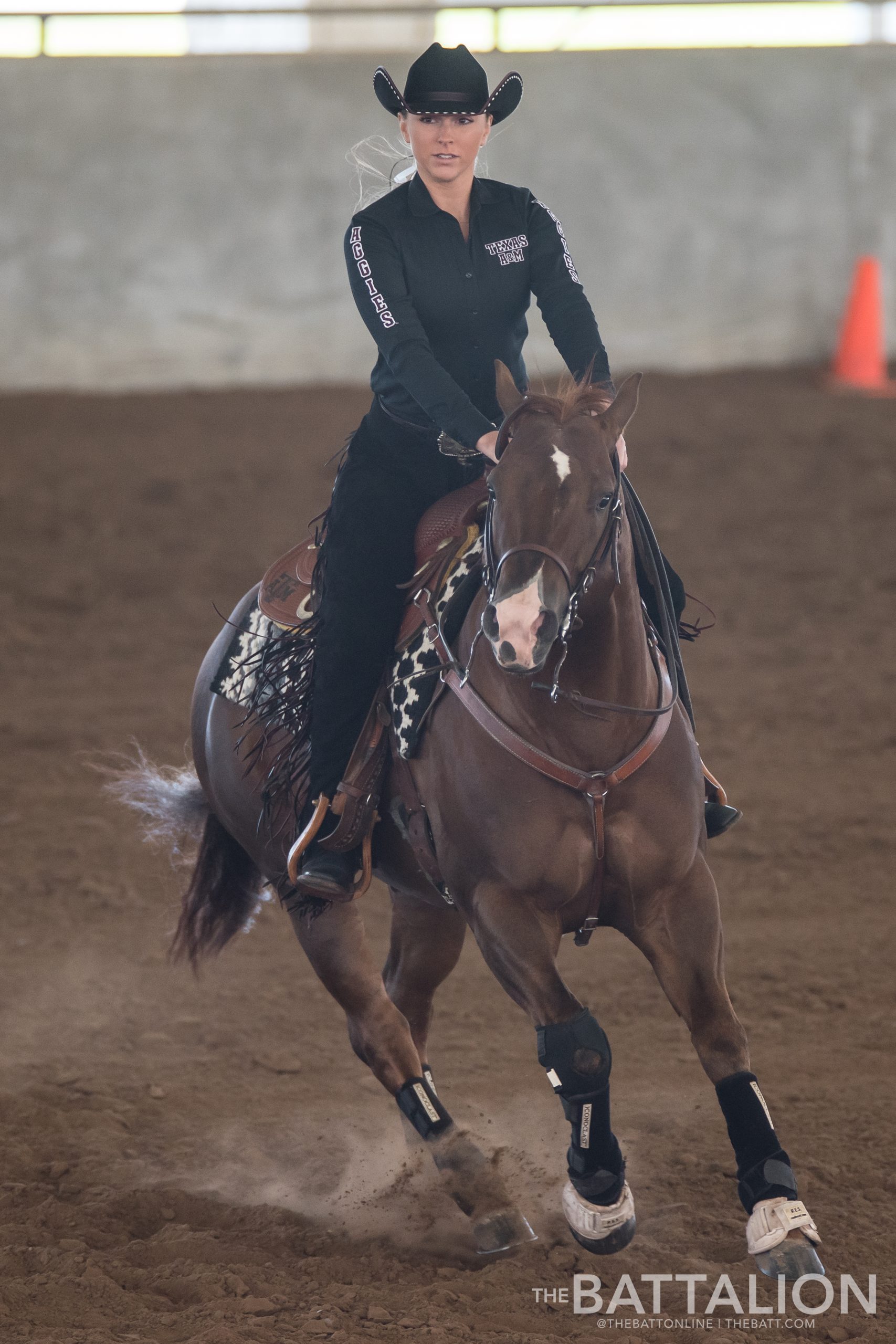 GALLERY: Equestrian vs. South Carolina