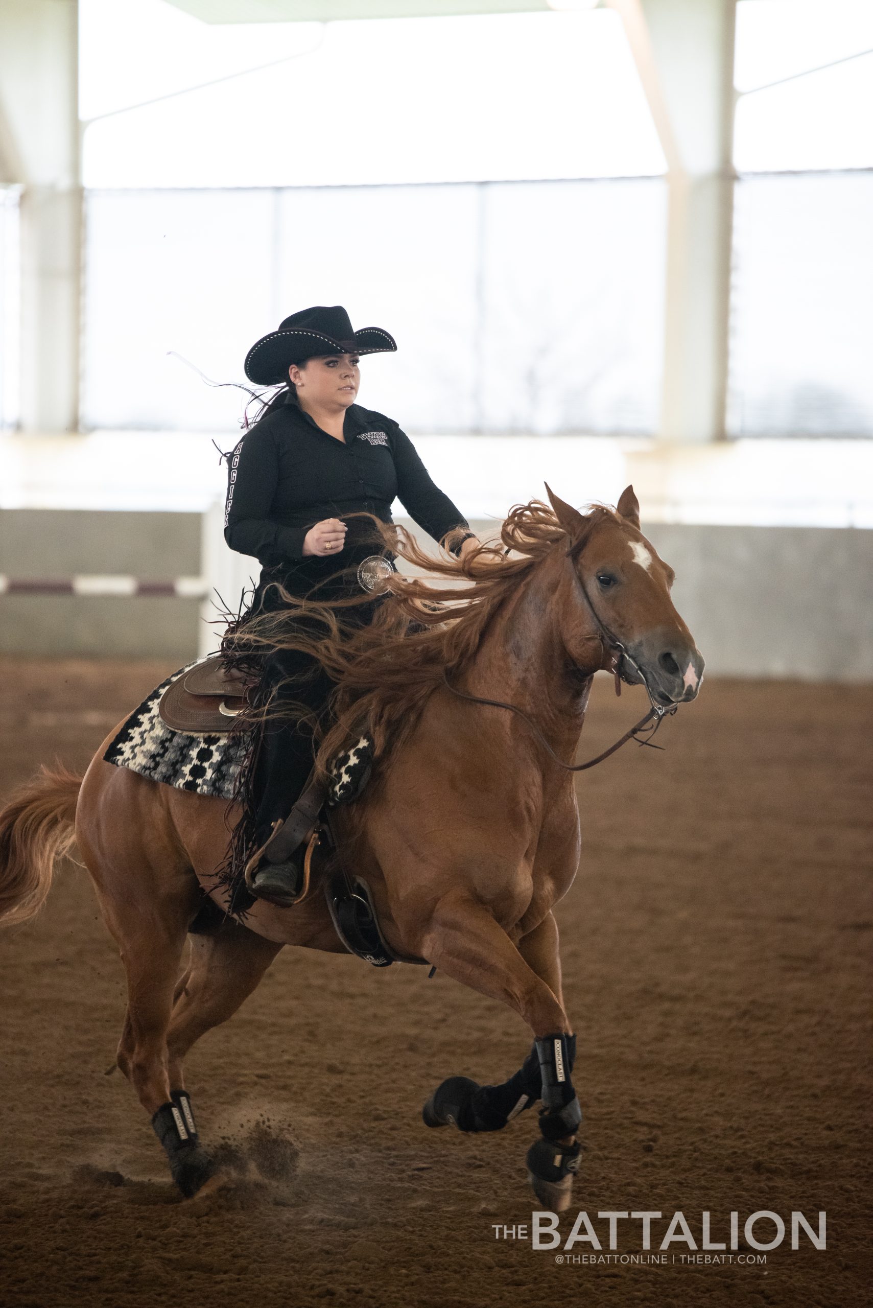 GALLERY%3A+Equestrian+vs.+SMU