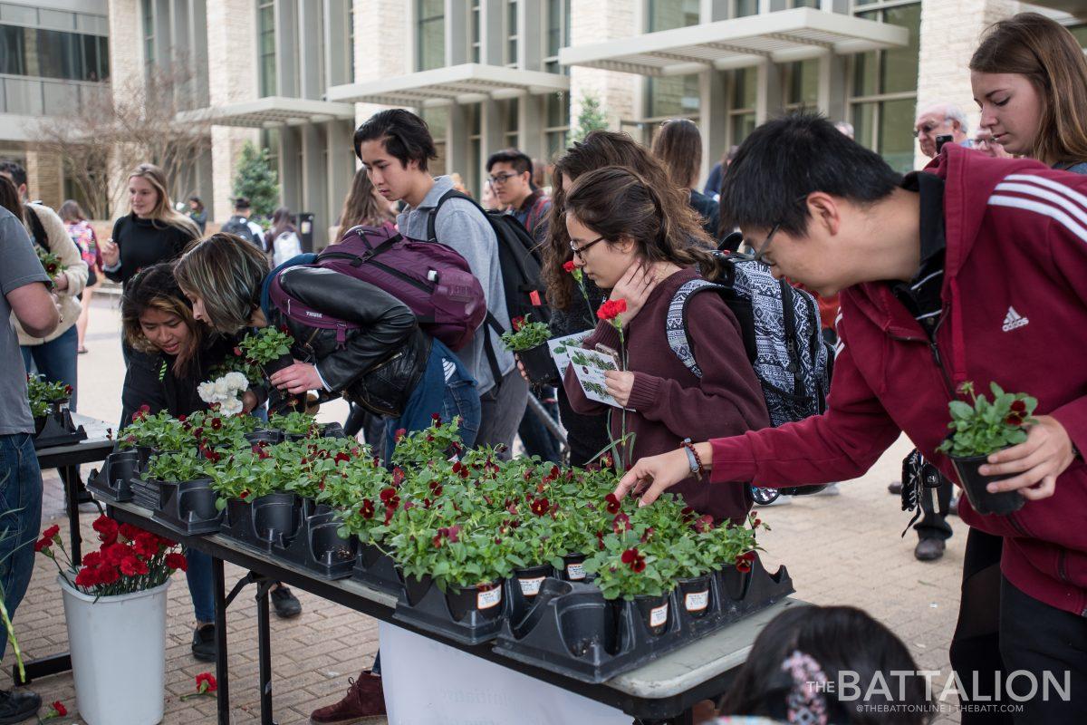 The Texas A&M Collegiate Plant Initiative attempted to break the record for fastest Plant Drop in the United States, a title currently held by the Gators. 