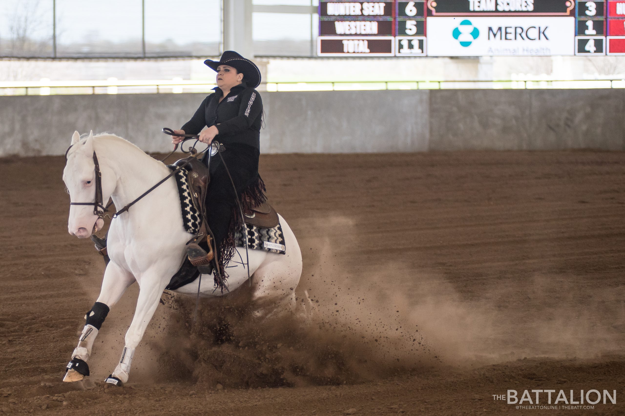 GALLERY: Equestrian vs. South Carolina