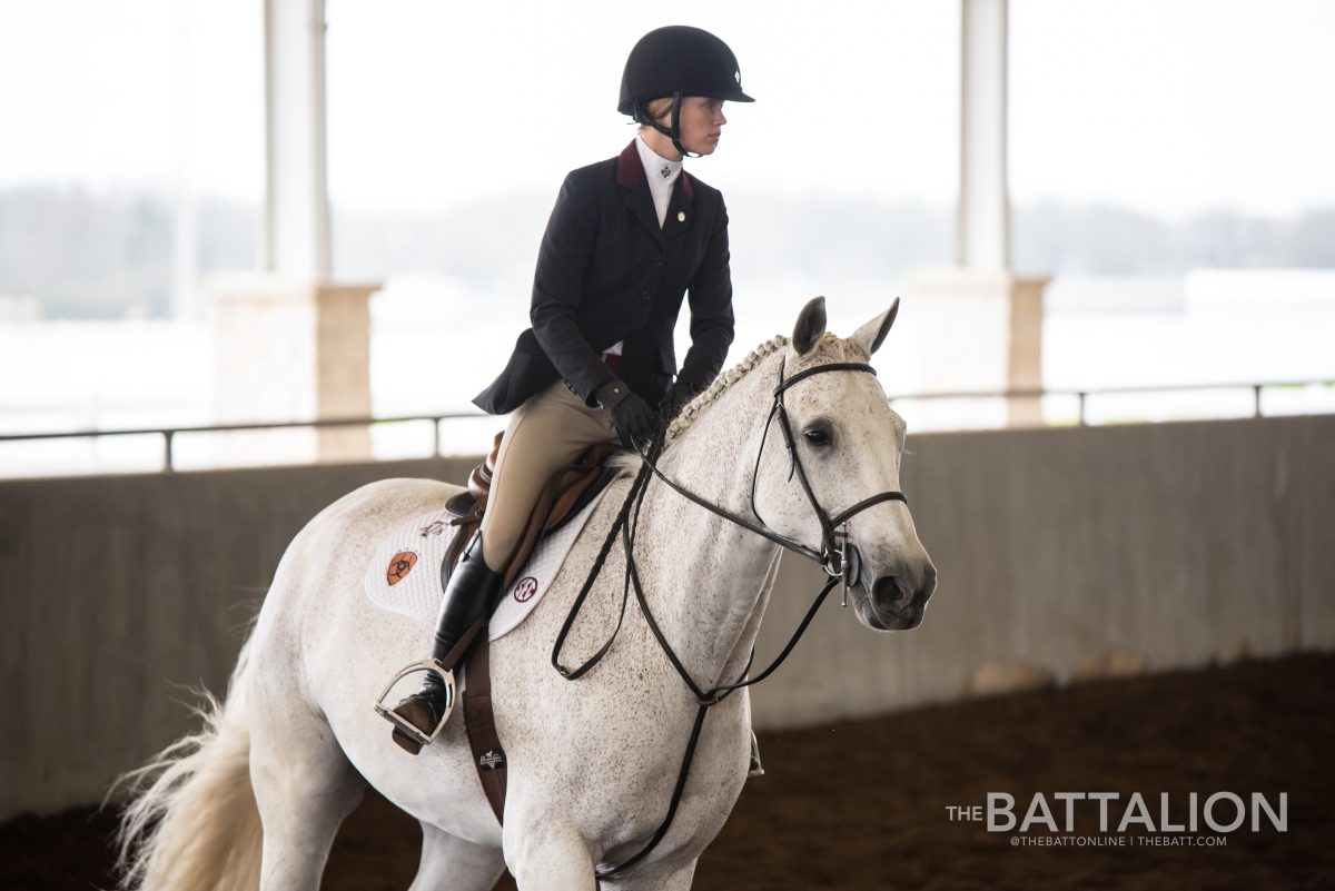 <p>Freshman <strong>Haley Redifer</strong> defeated Kelsie Brittan 82-68, securing the lone point for A&M in equitation over fences.</p>