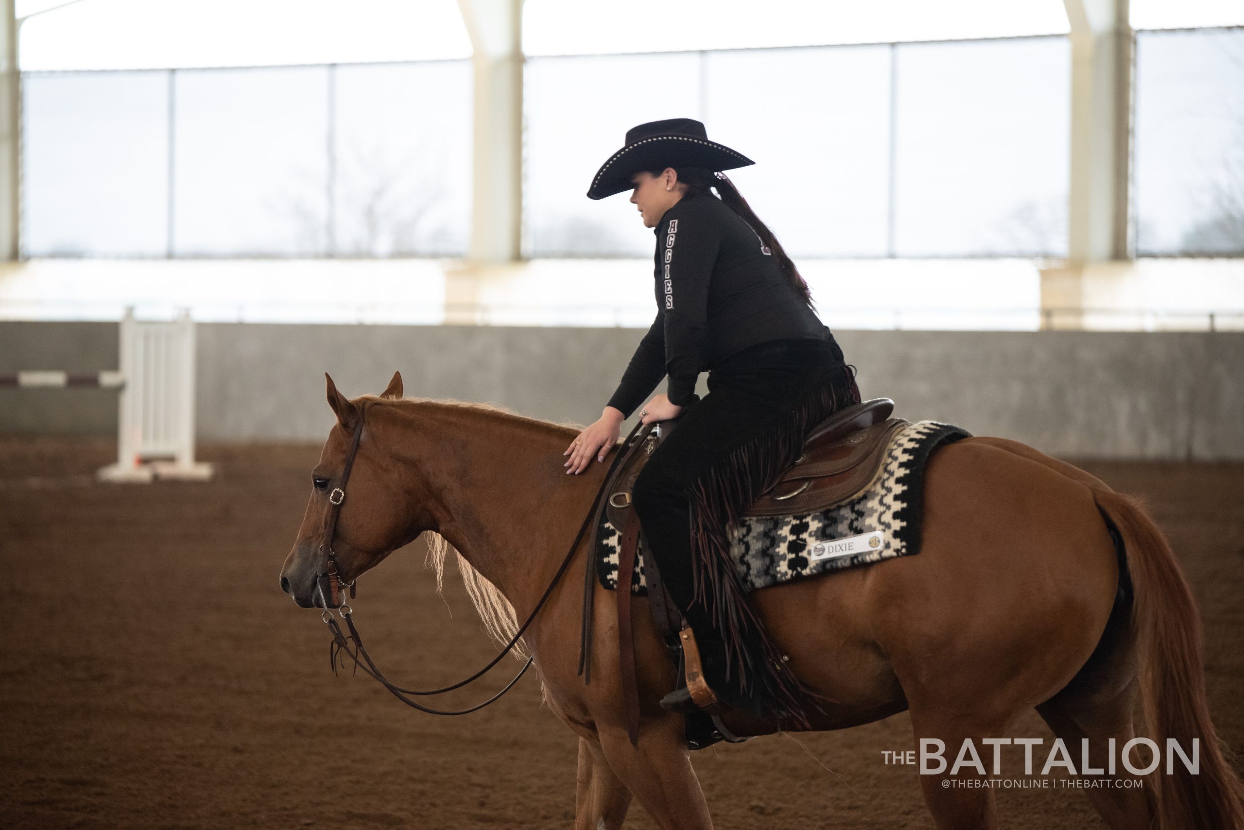 GALLERY%3A+Equestrian+vs.+SMU