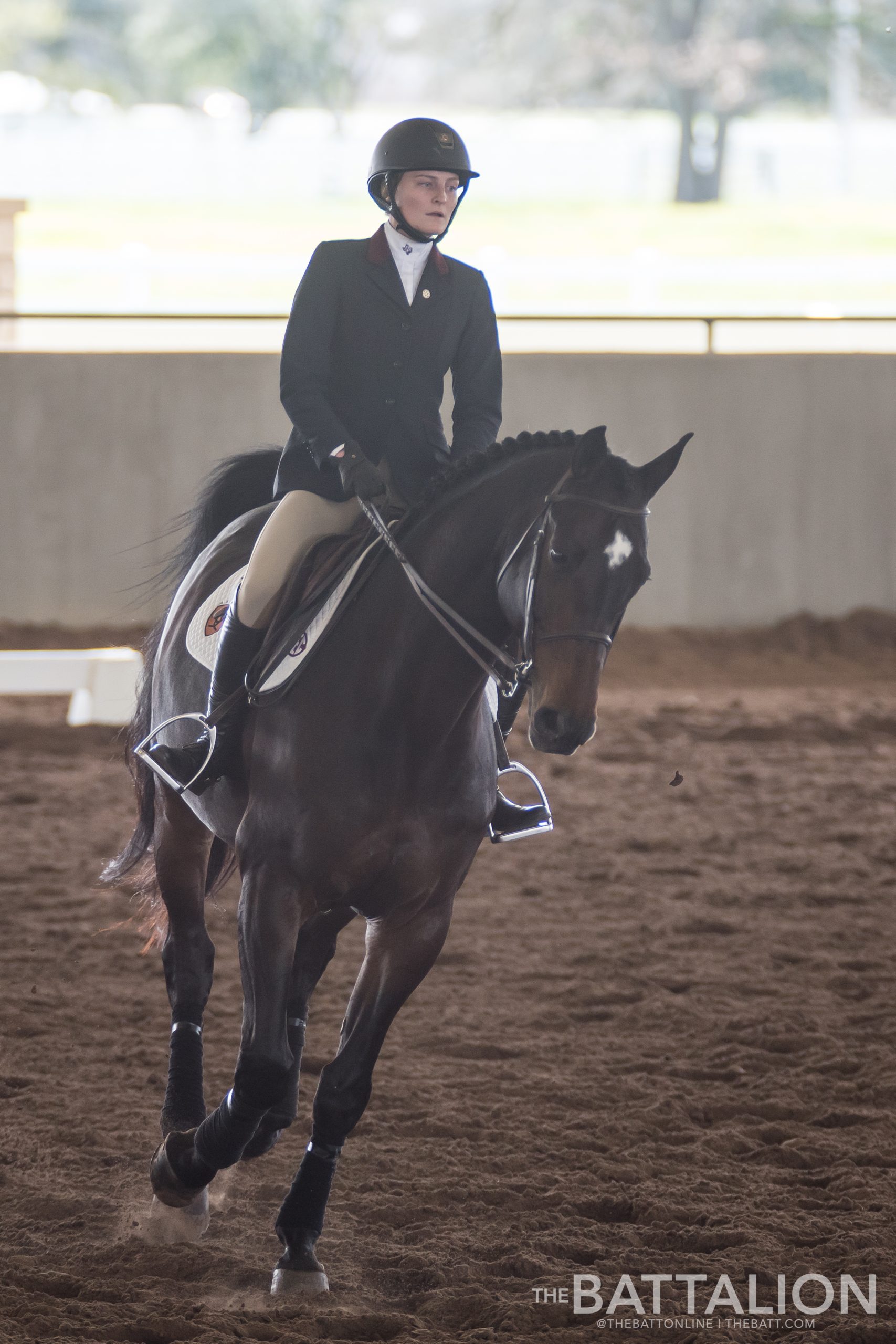 GALLERY%3A+Equestrian+vs.+South+Carolina