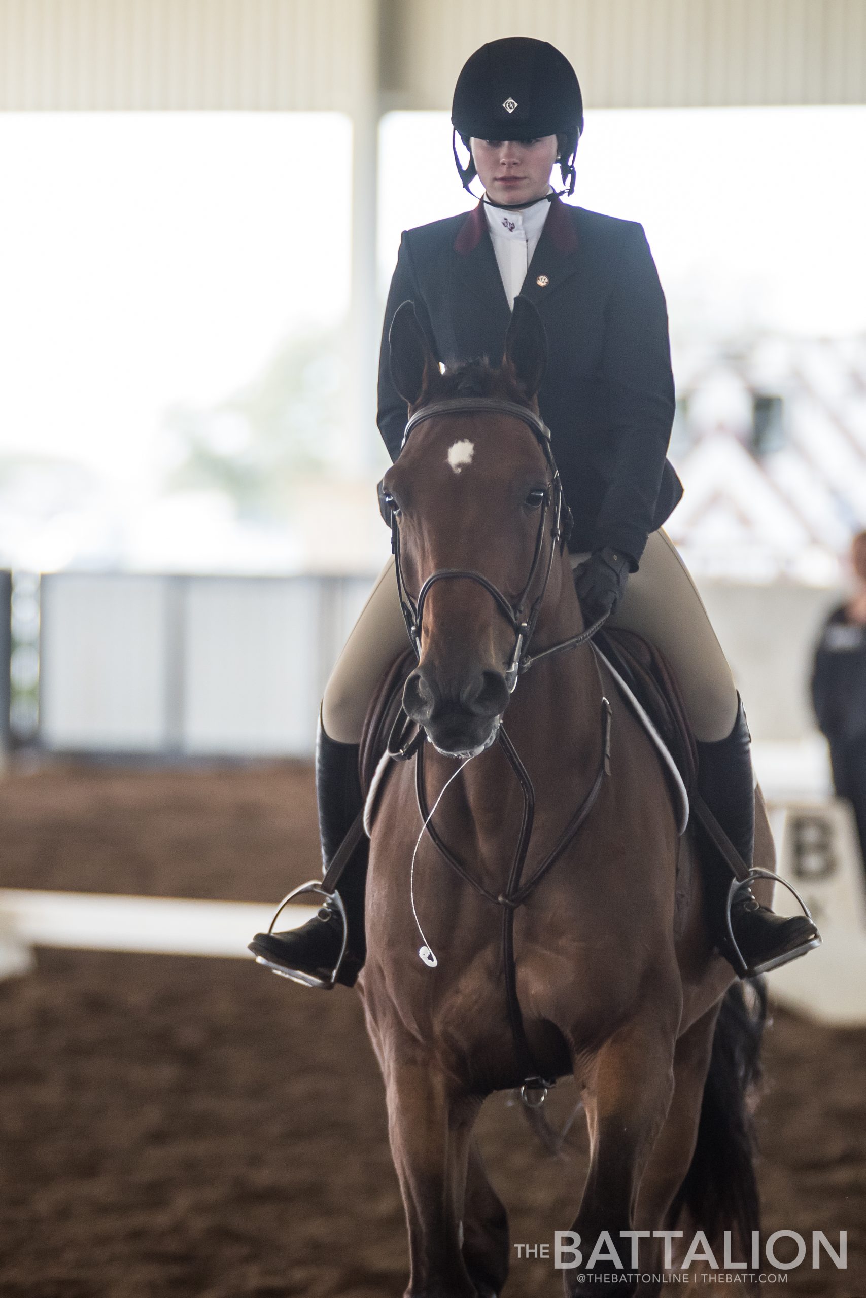 GALLERY%3A+Equestrian+vs.+South+Carolina