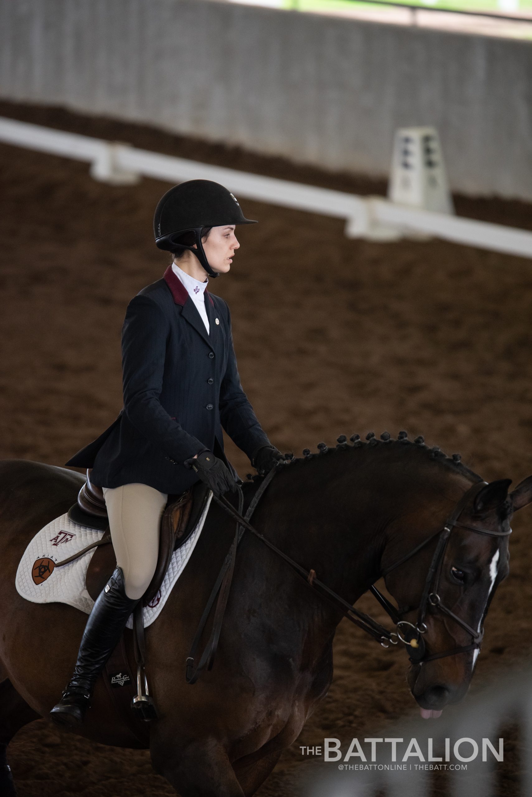 GALLERY%3A+Equestrian+vs.+SMU